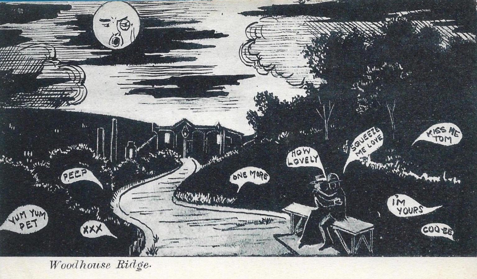 Woodhouse Ridge by Moonlight, Postcard 1910 