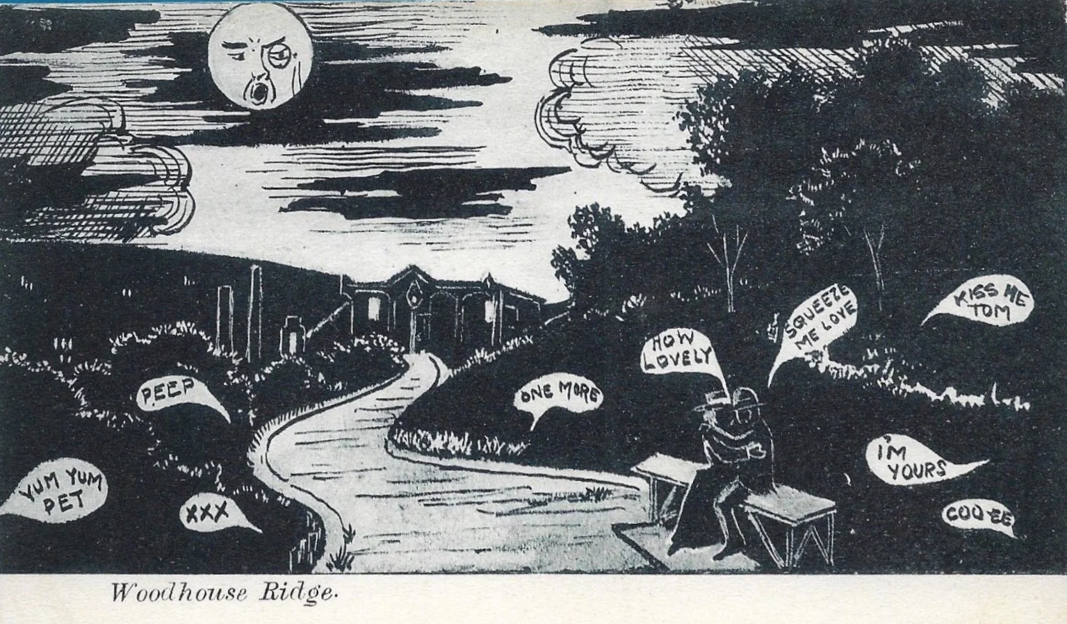 Woodhouse Ridge by Moonlight, Postcard 1910