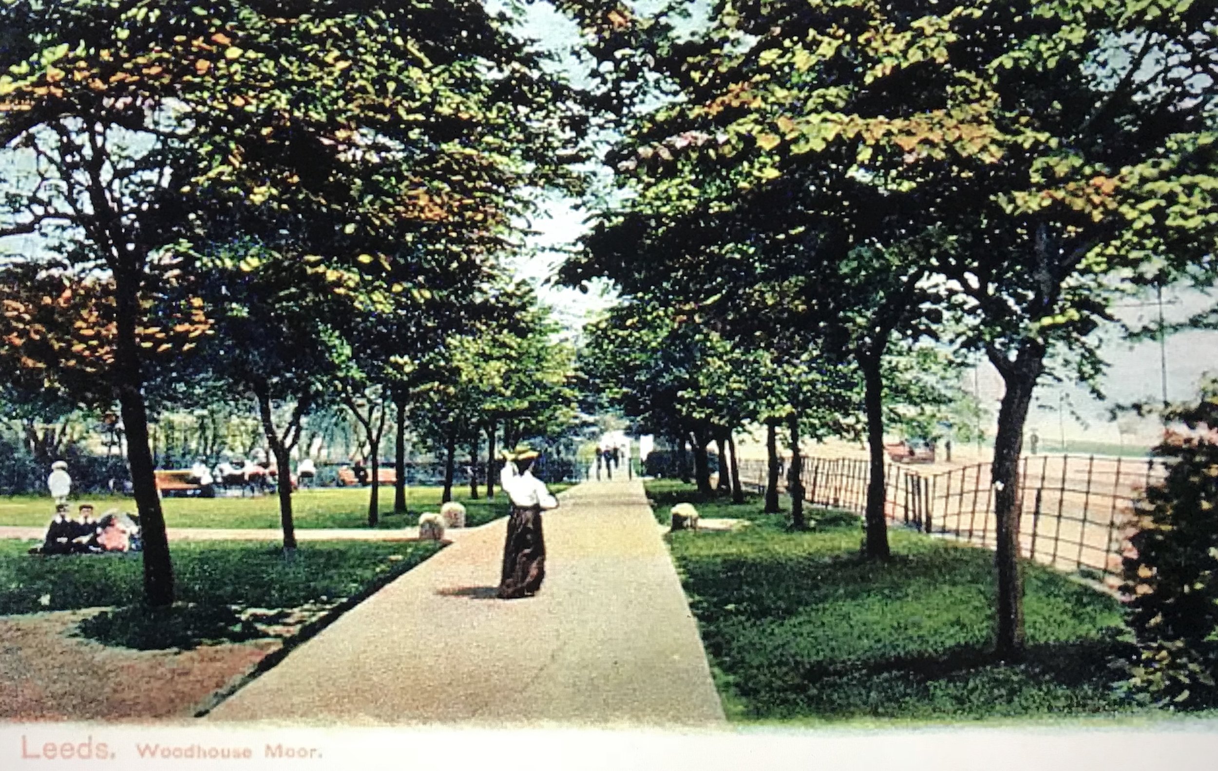 The Avenue, Woodhouse Moor, undated