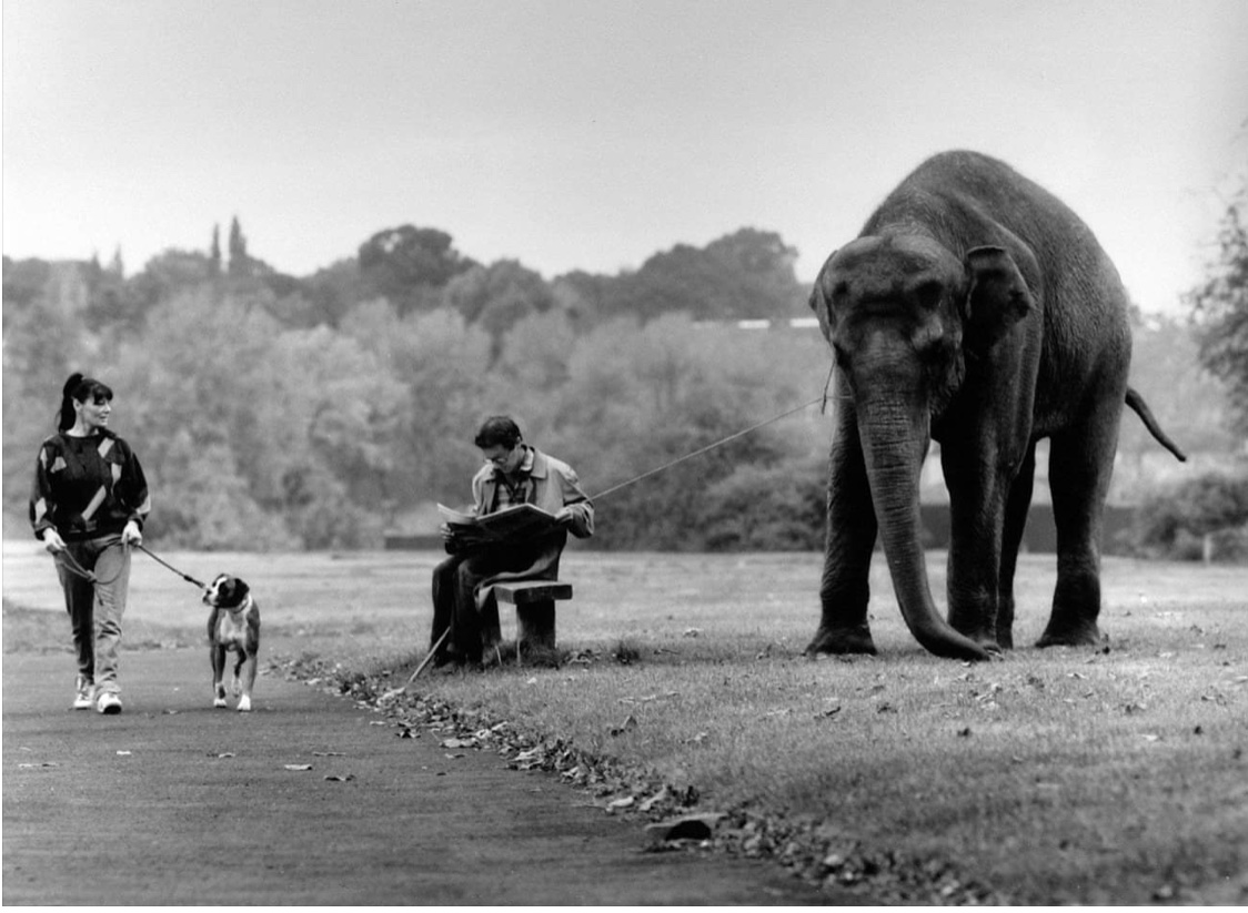 Billy Smart’s Circus Elephant, Woodhouse Moor, undated © Yorkshire Evening Post 
