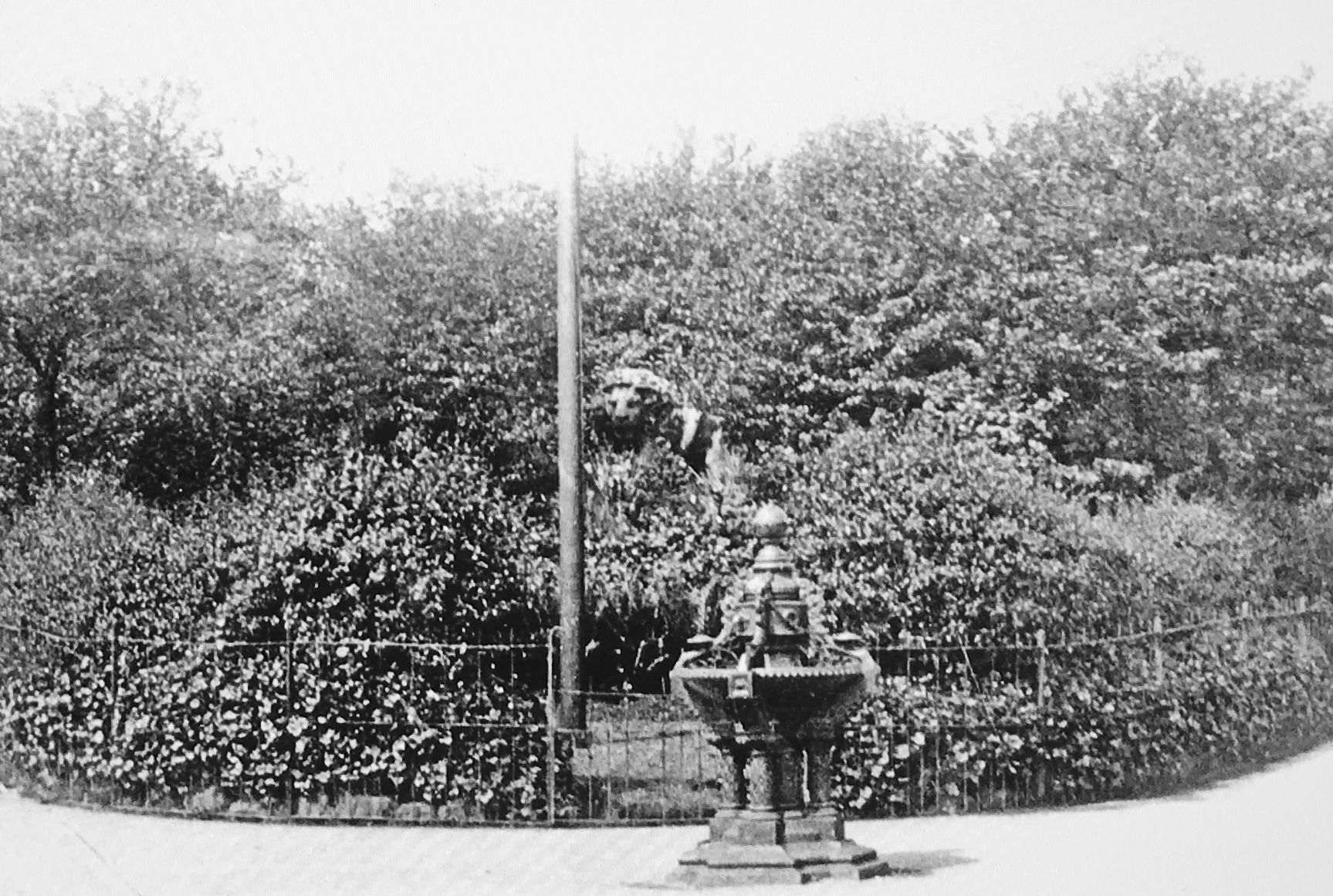 Lion with Snake Statue, with Fountain, Woodhouse Moor, 1897 © LLIS