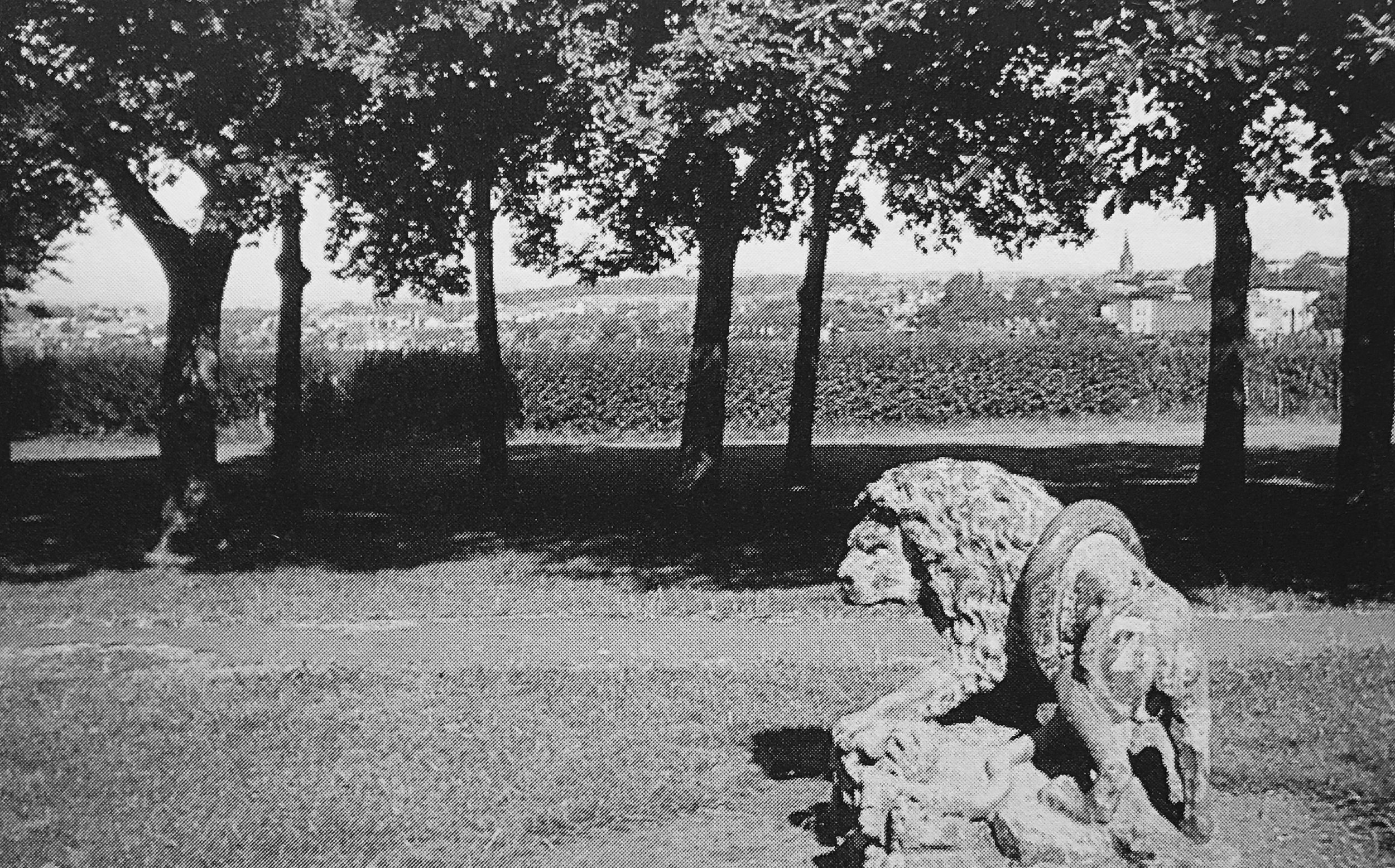 Lion with Snake Statue, Woodhouse Moor, undated 