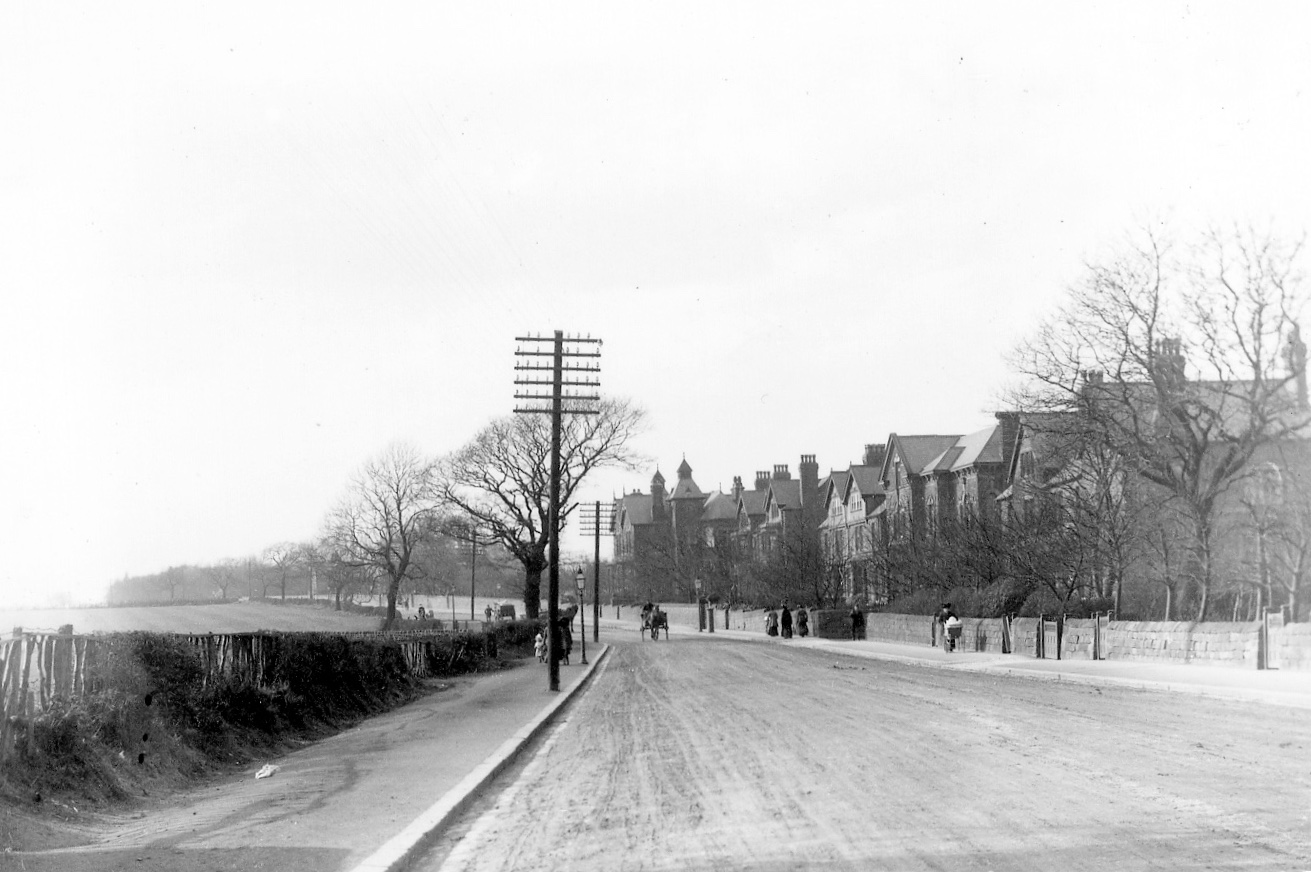 Otley Road, climbing Reservoir Hill, Far Headingley, c1900