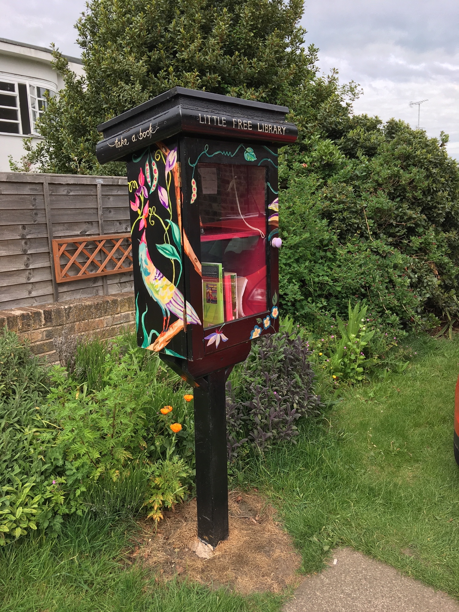 Carry Franklin, Box Number One, Little Free Library, 69 Alma Road © RT 2019