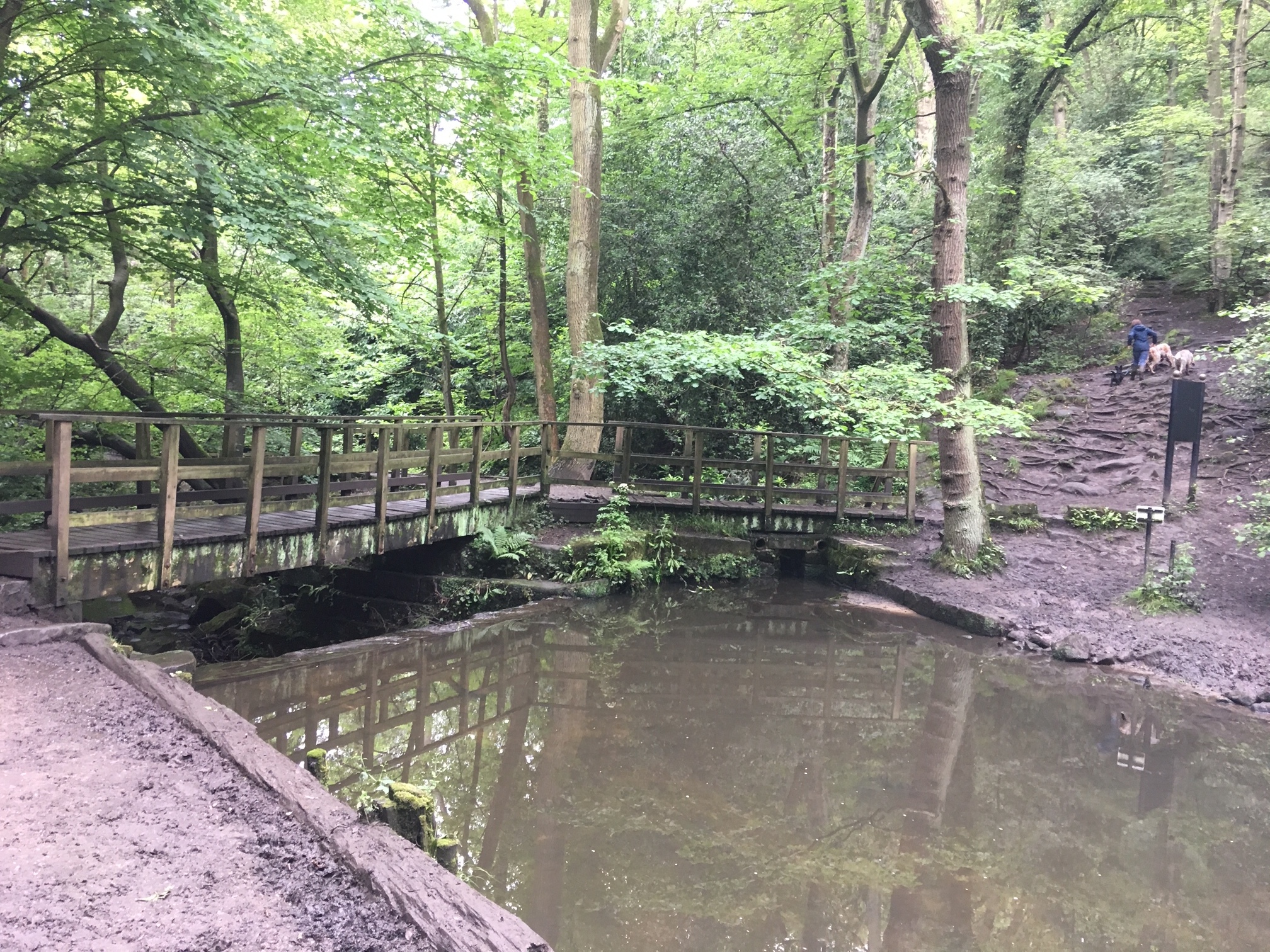 03  Weir and source of mill stream, for Weetwood Mill, 2019