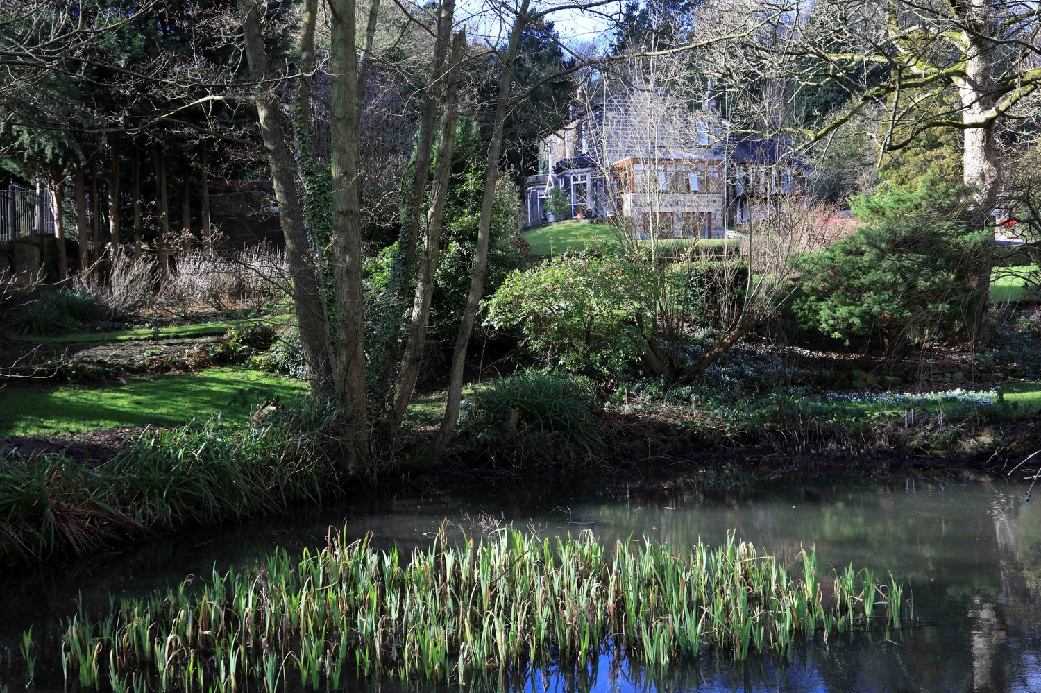06 Mill pond, for Weetwood Mill, 2018