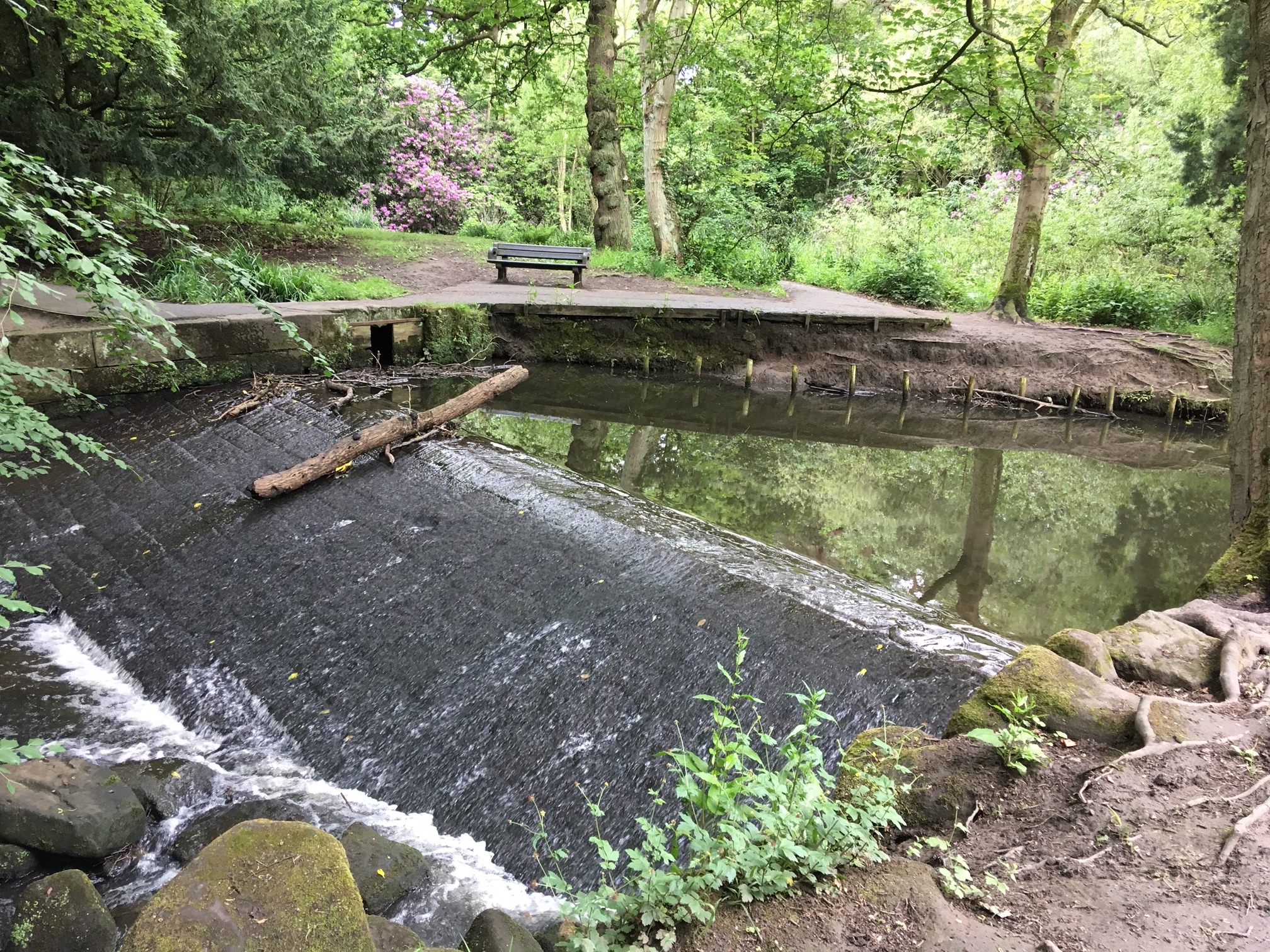 10  Whalley Dam and source of mill stream, for Meanwood Tannery, 2019