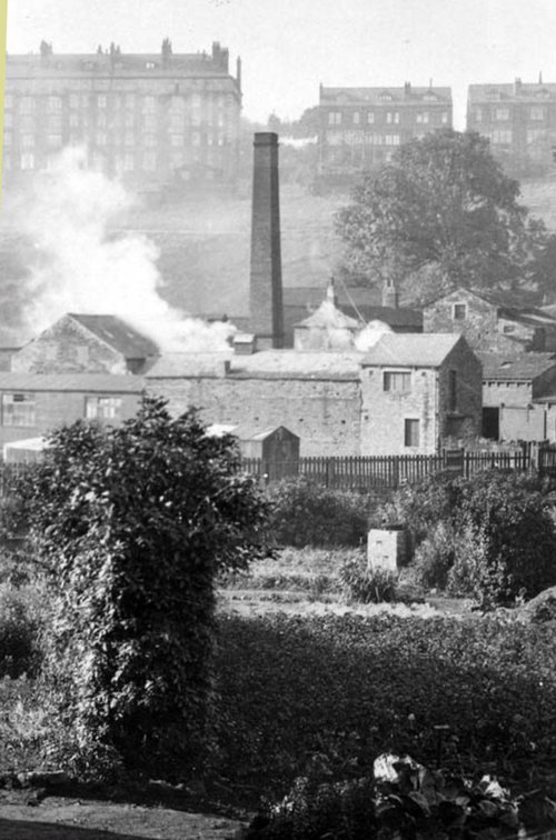 23  Woodland Dye Works (formerly Old Oil Mill) (demolished), undated