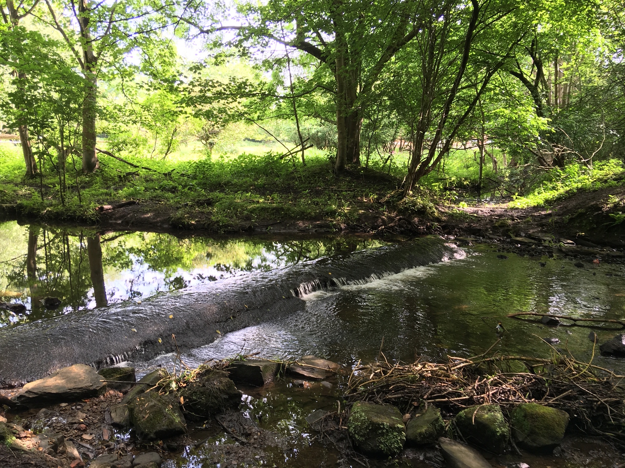 29  Weir and source of mill stream, for Grove Mill, 2019