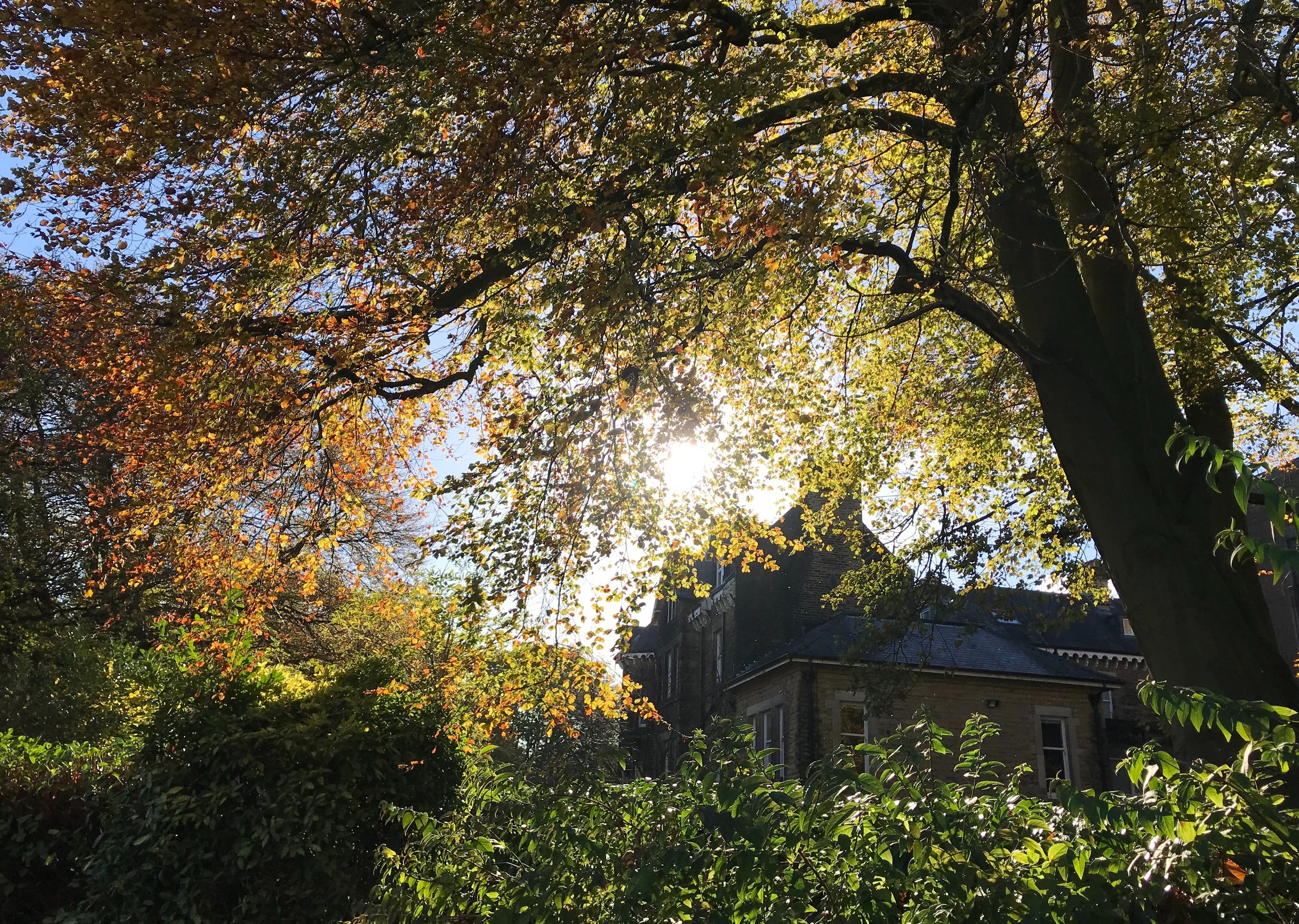 The Hollies House © HP