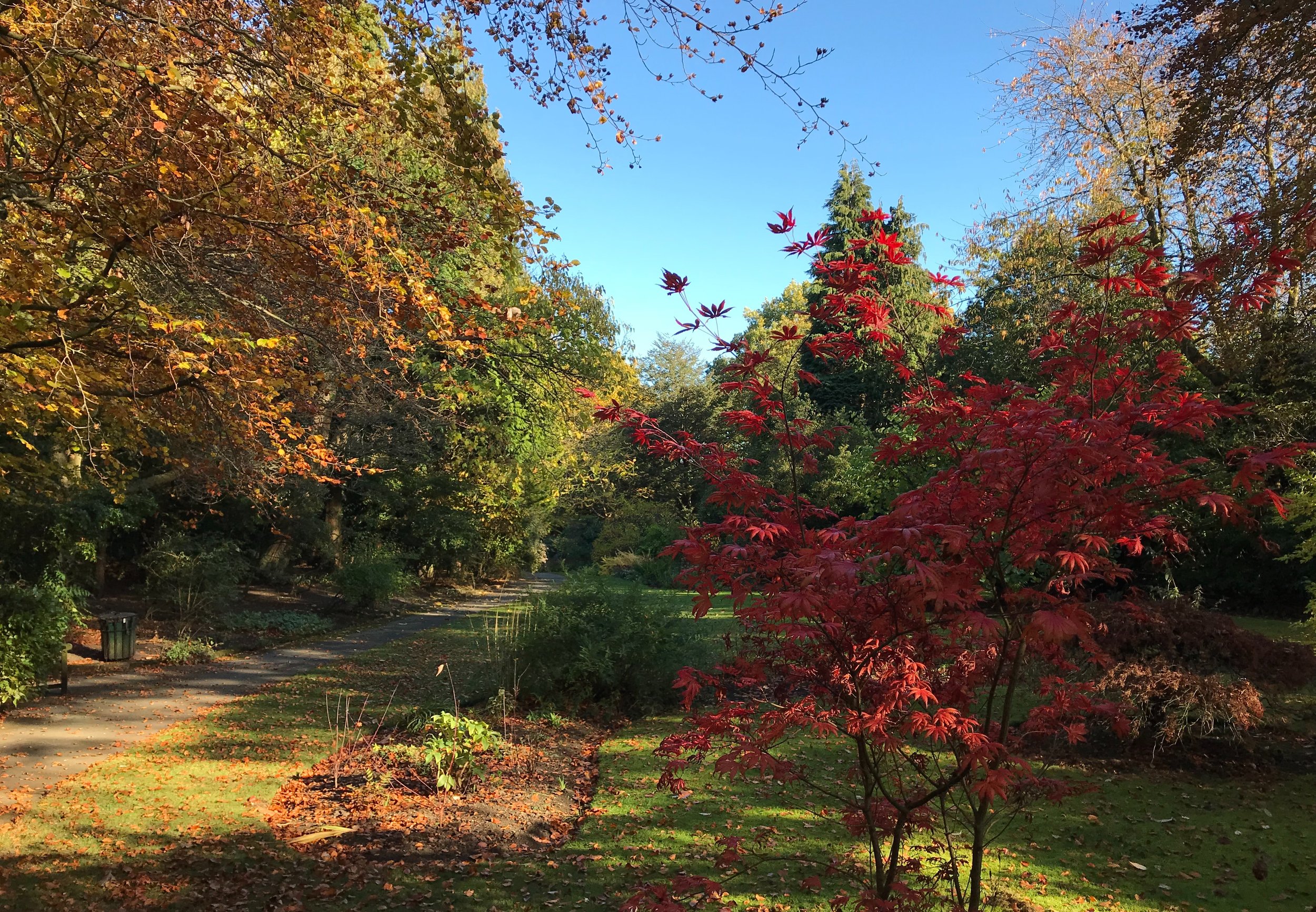 Formal Garden, The Hollies © HP