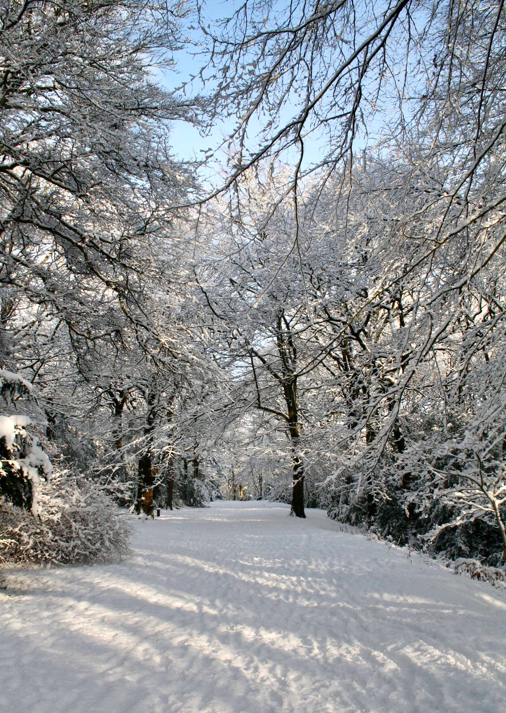 Avenue, The Hollies © MO