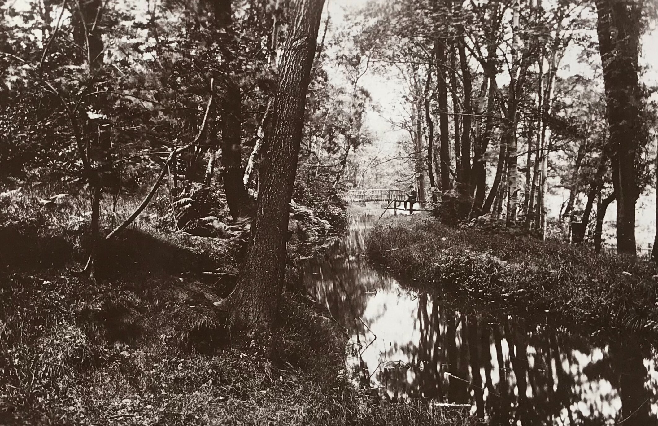 17  Mill Stream, The Hollies, circa 1920s