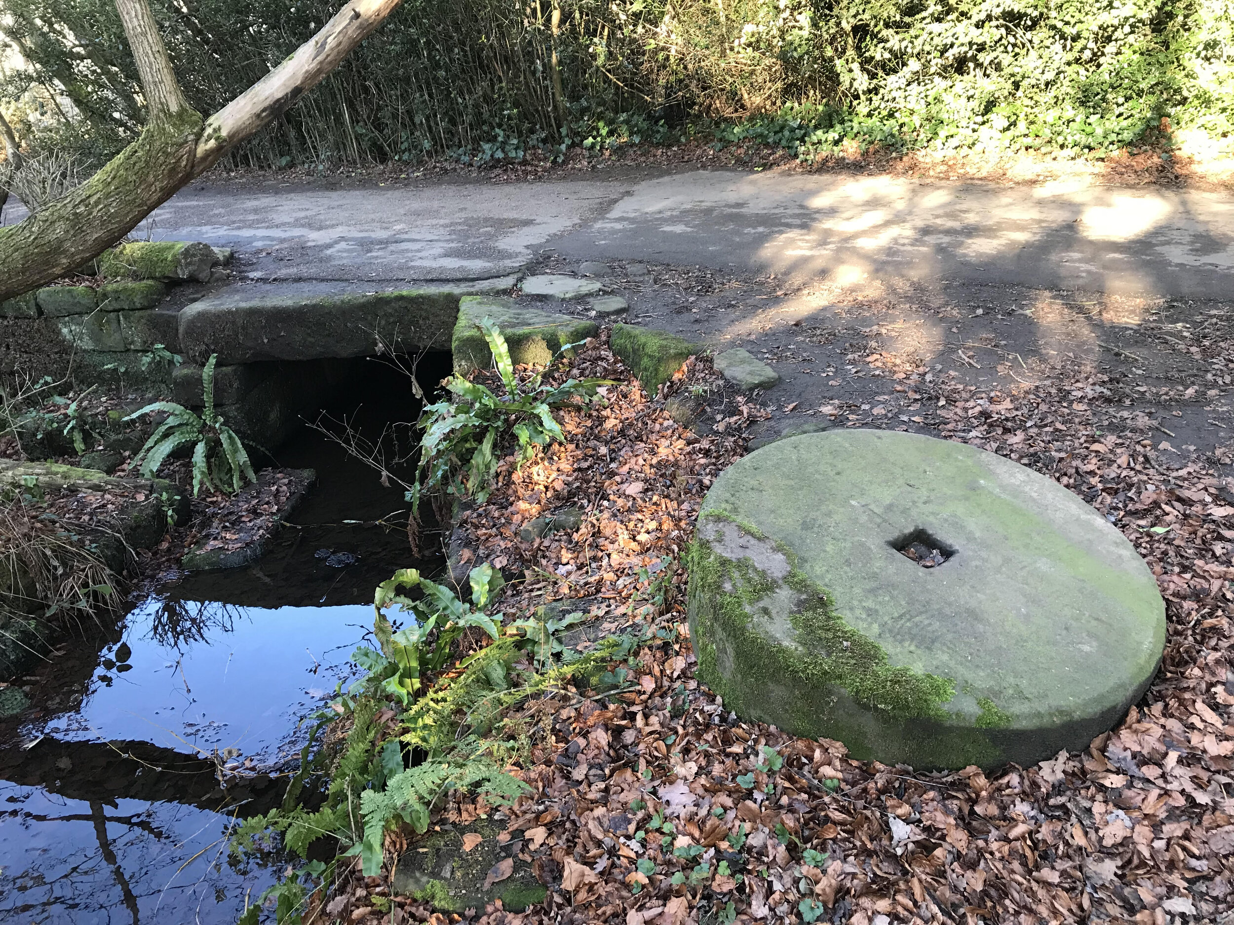 Millstream and millstone, Meanwood Park © HP