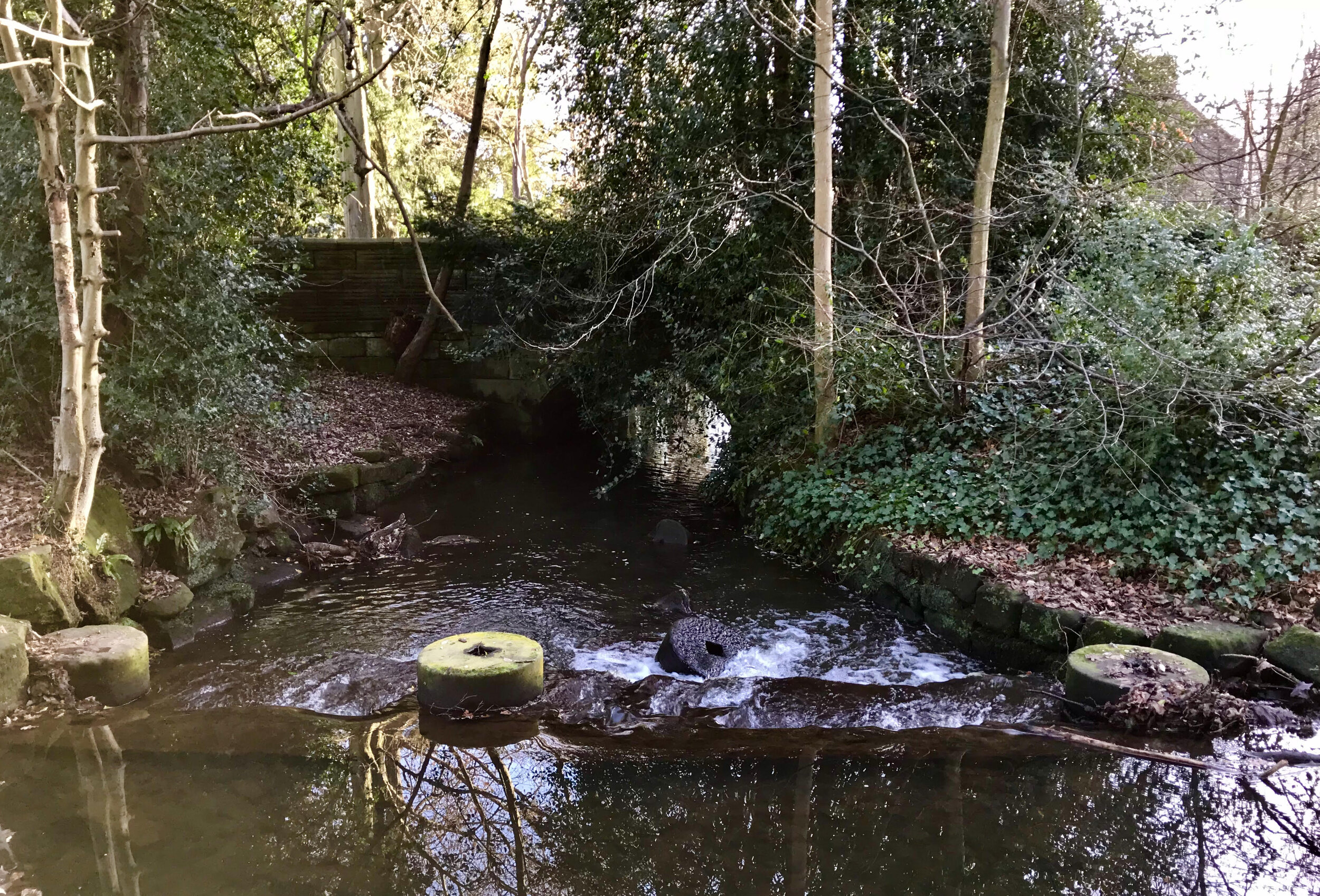 Millstones and weir, Meanwood Beck © HP