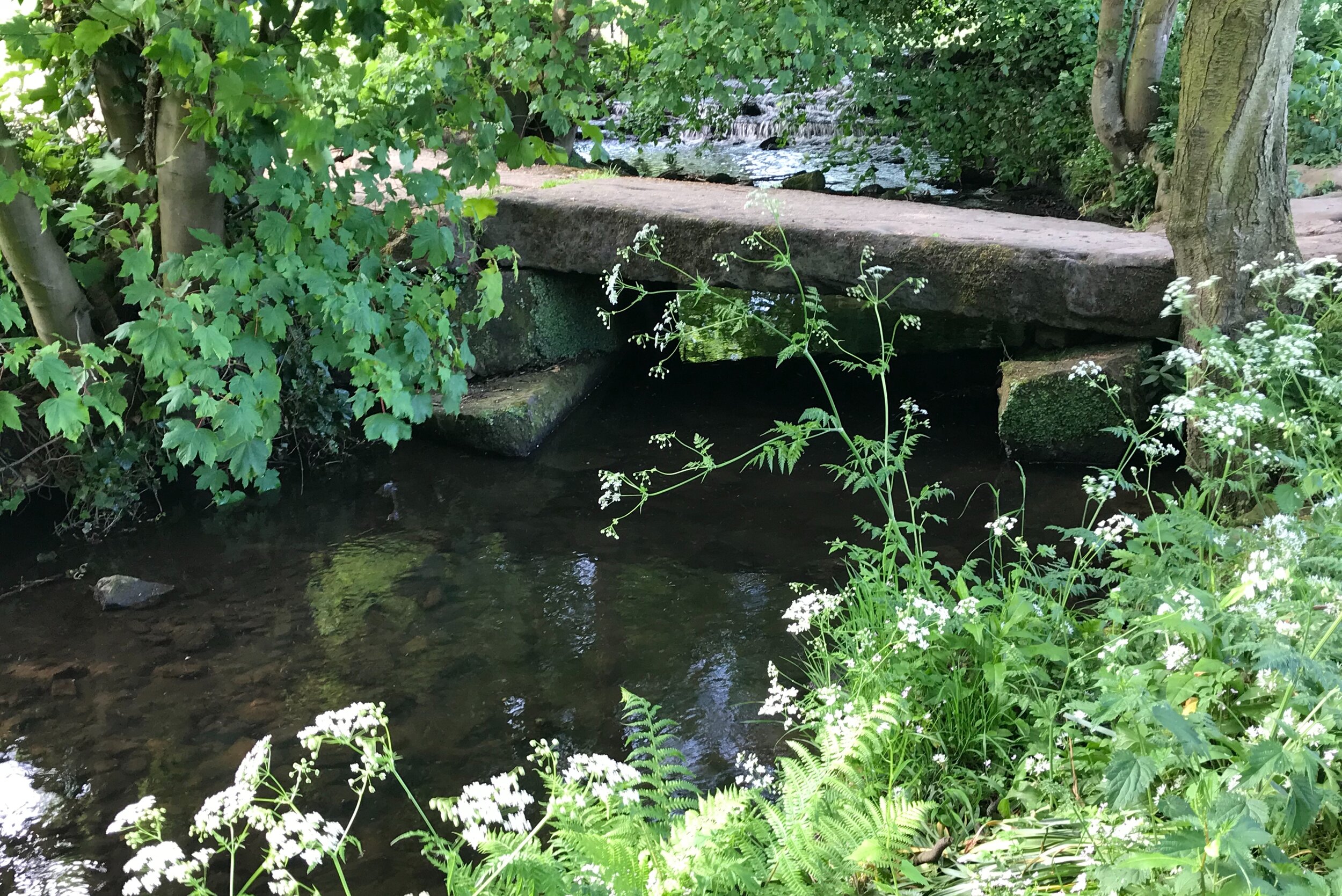 Clapper bridge, Meanwood Beck © HP
