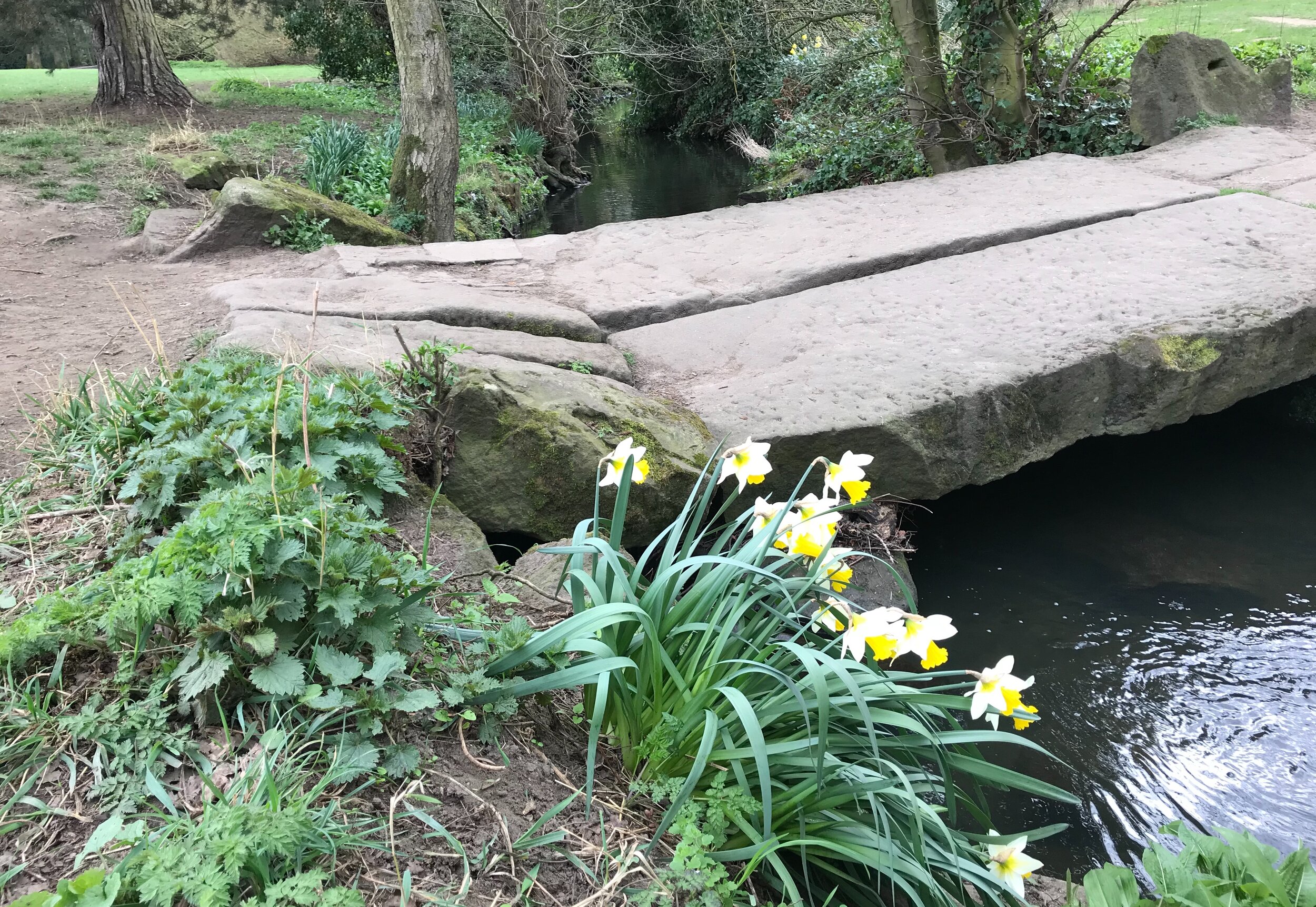 Clapper bridge, Meanwood Beck © HP