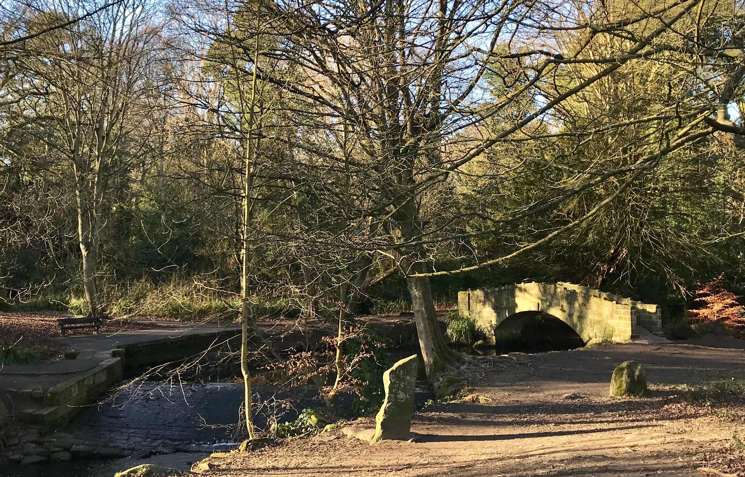 Venetian Bridge, American Garden, Meanwood Park © HP