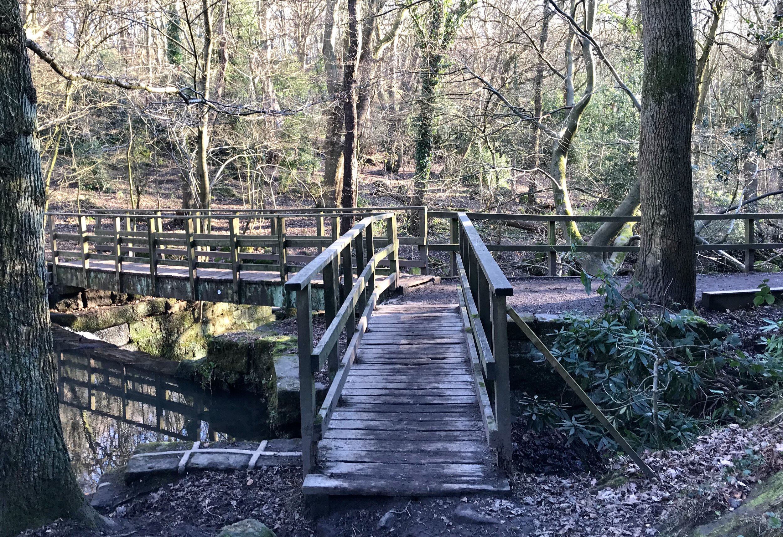 Bridge from The Hollies, Meanwood Beck © HP