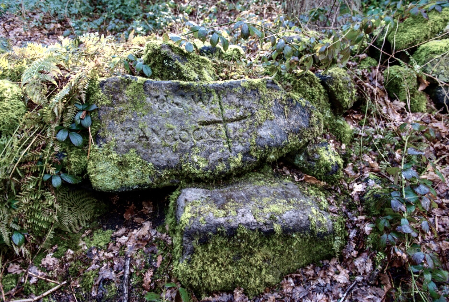 Suicide Stone, Meanwood Park © DW