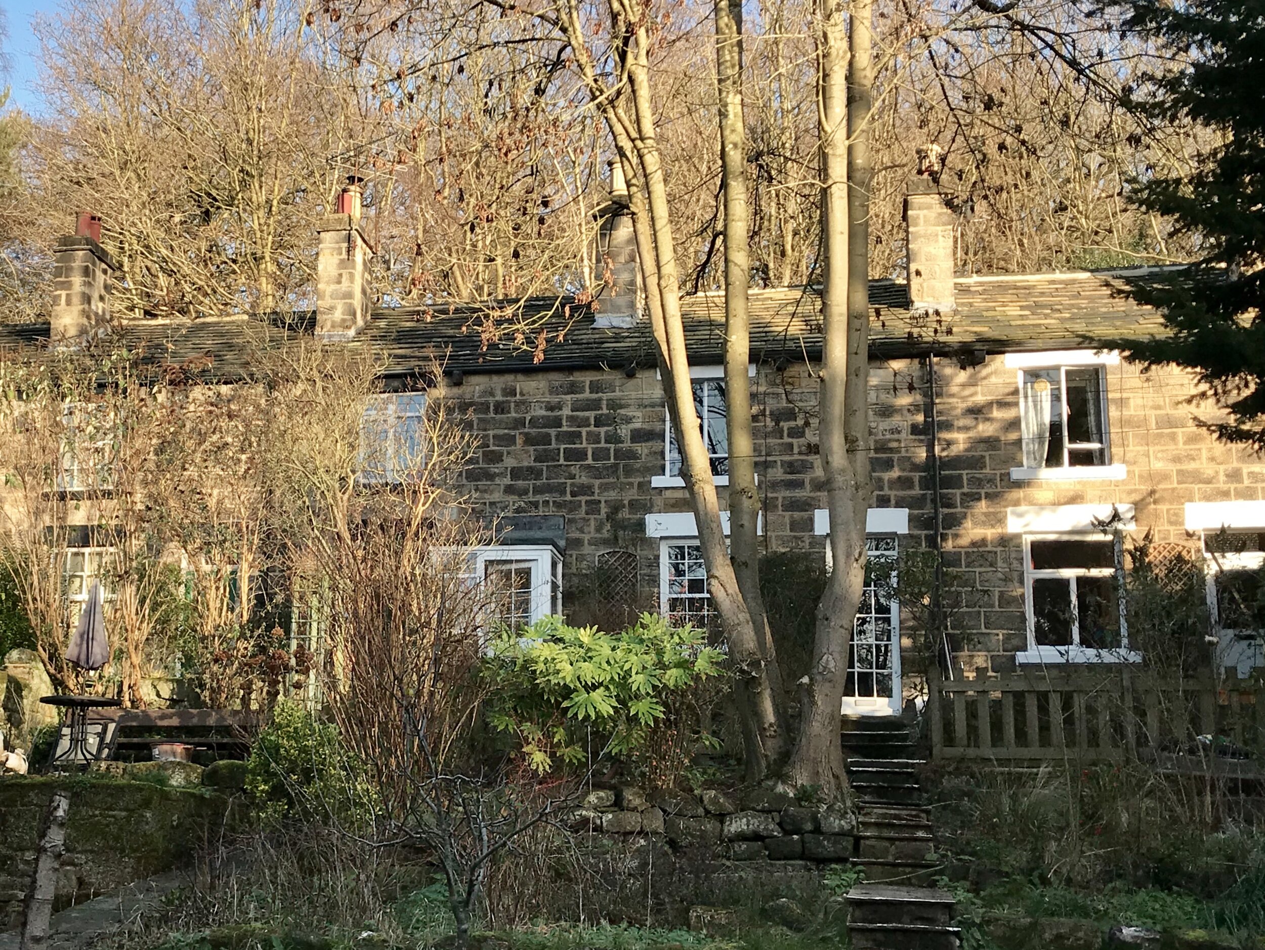 Hustler's Row, Meanwood Park © HP