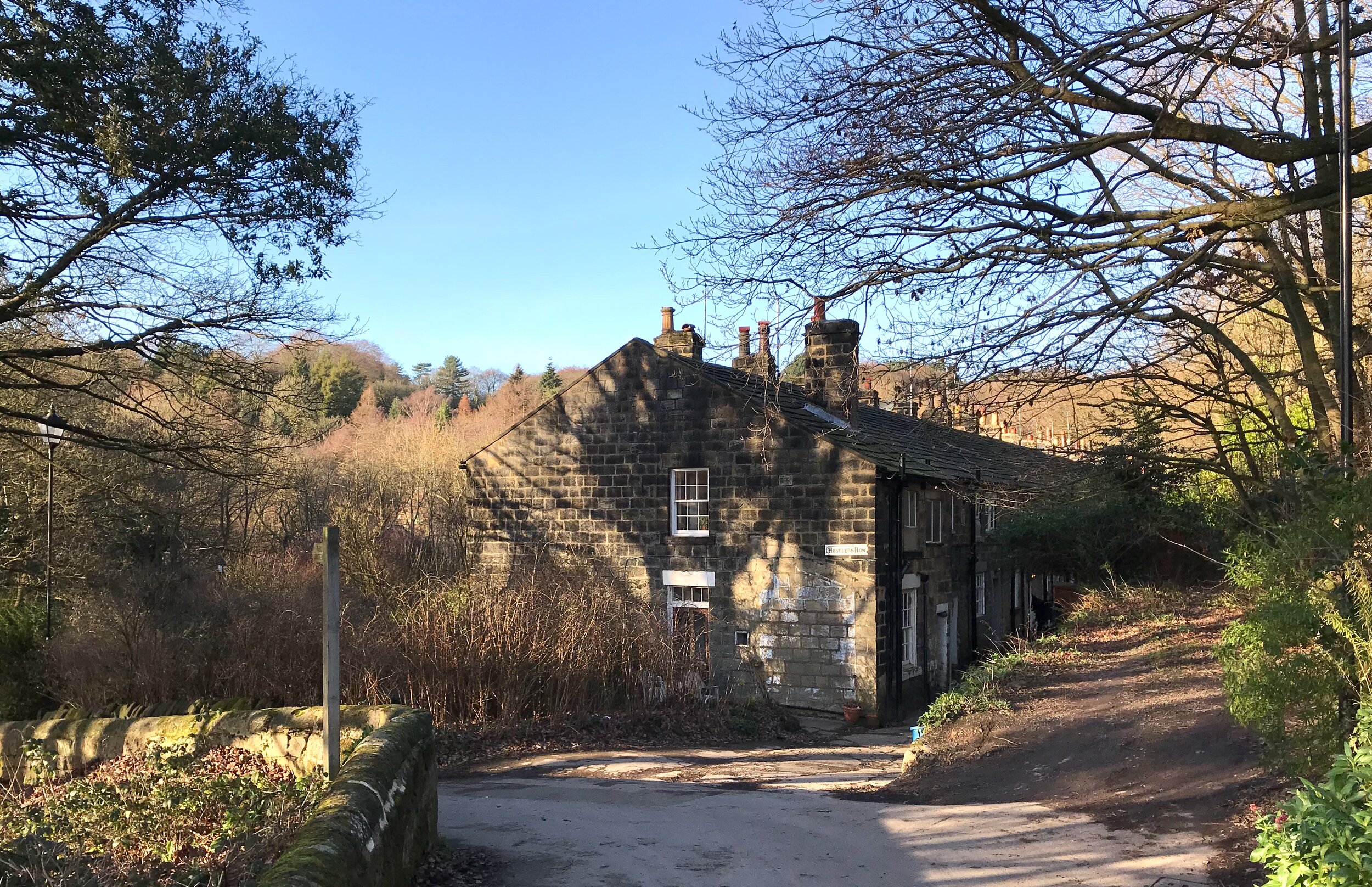 Hustler's Row, Meanwood Park © HP