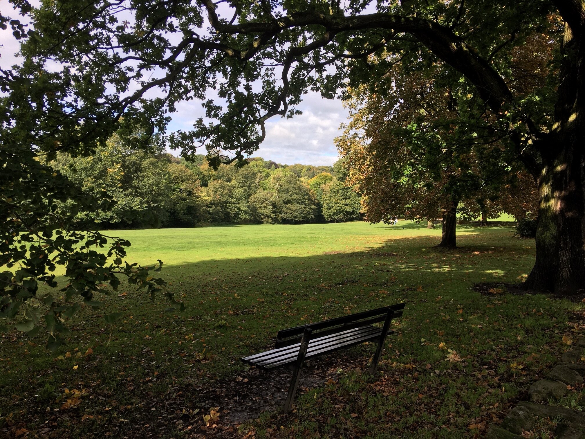 Meanwood Park from the playground © RT