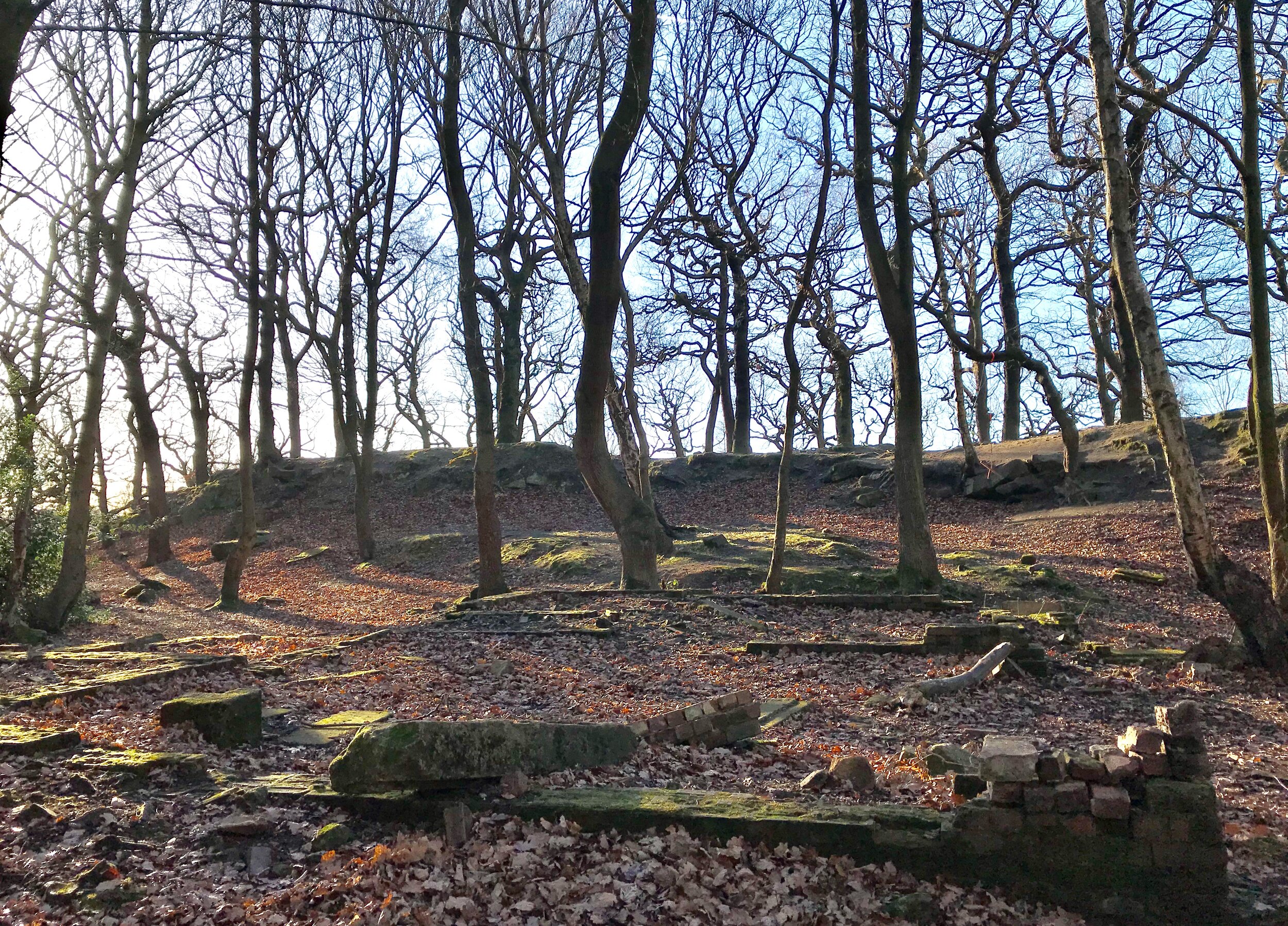 Quarry, Meanwood Park © HP