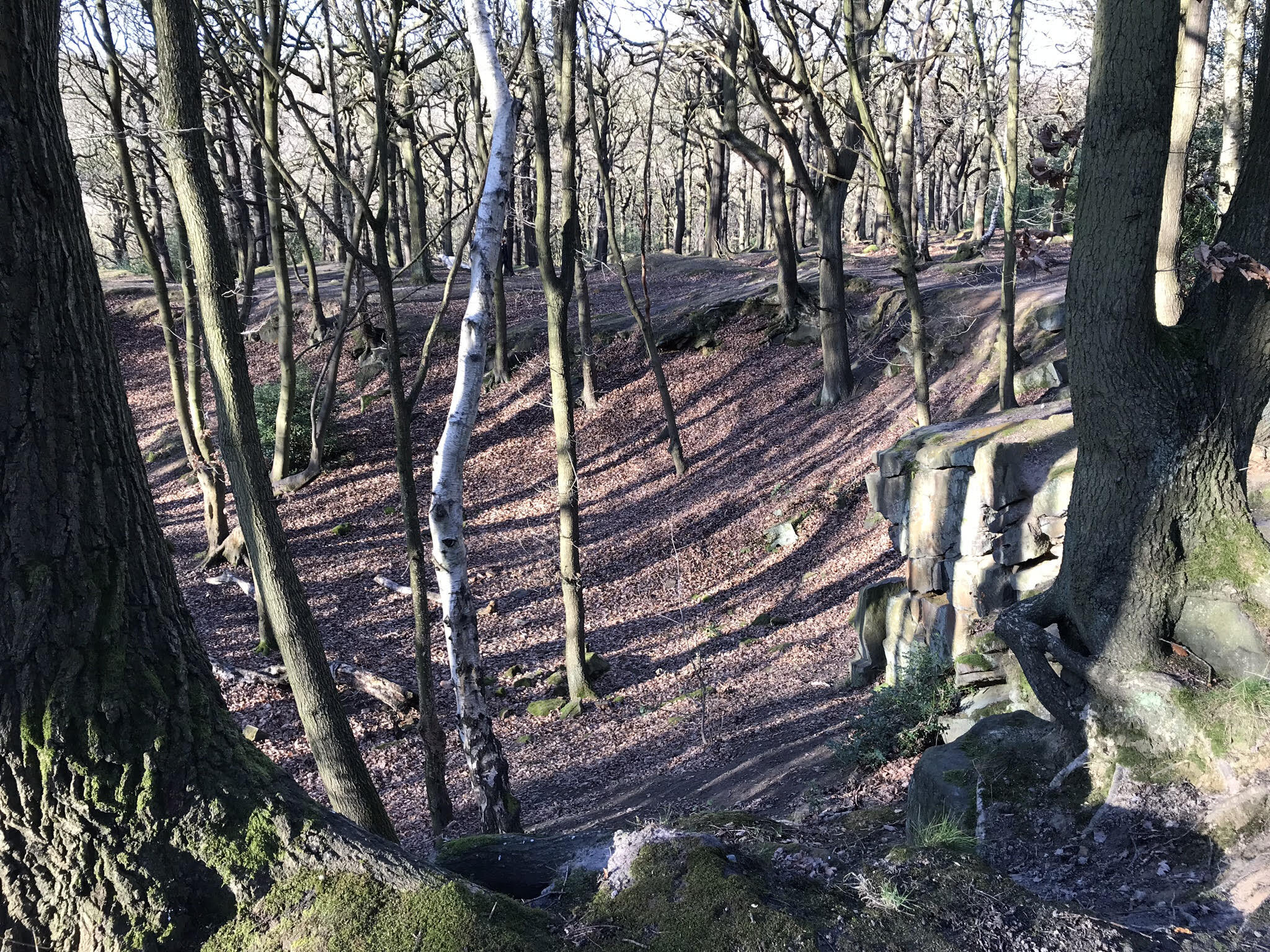 Quarry, Meanwood Park © HP