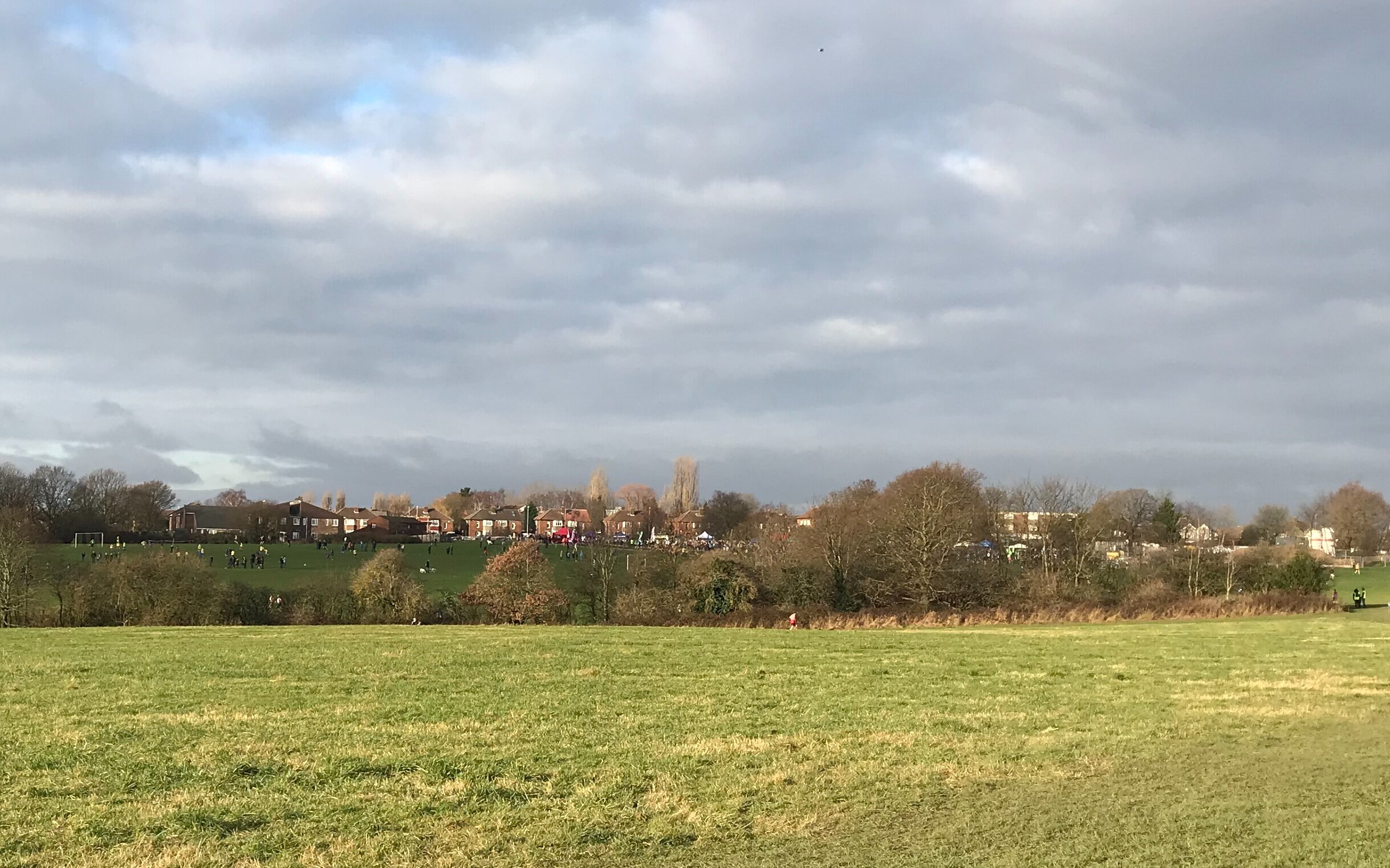 West Park Fields, from Northolme Avenue © HP