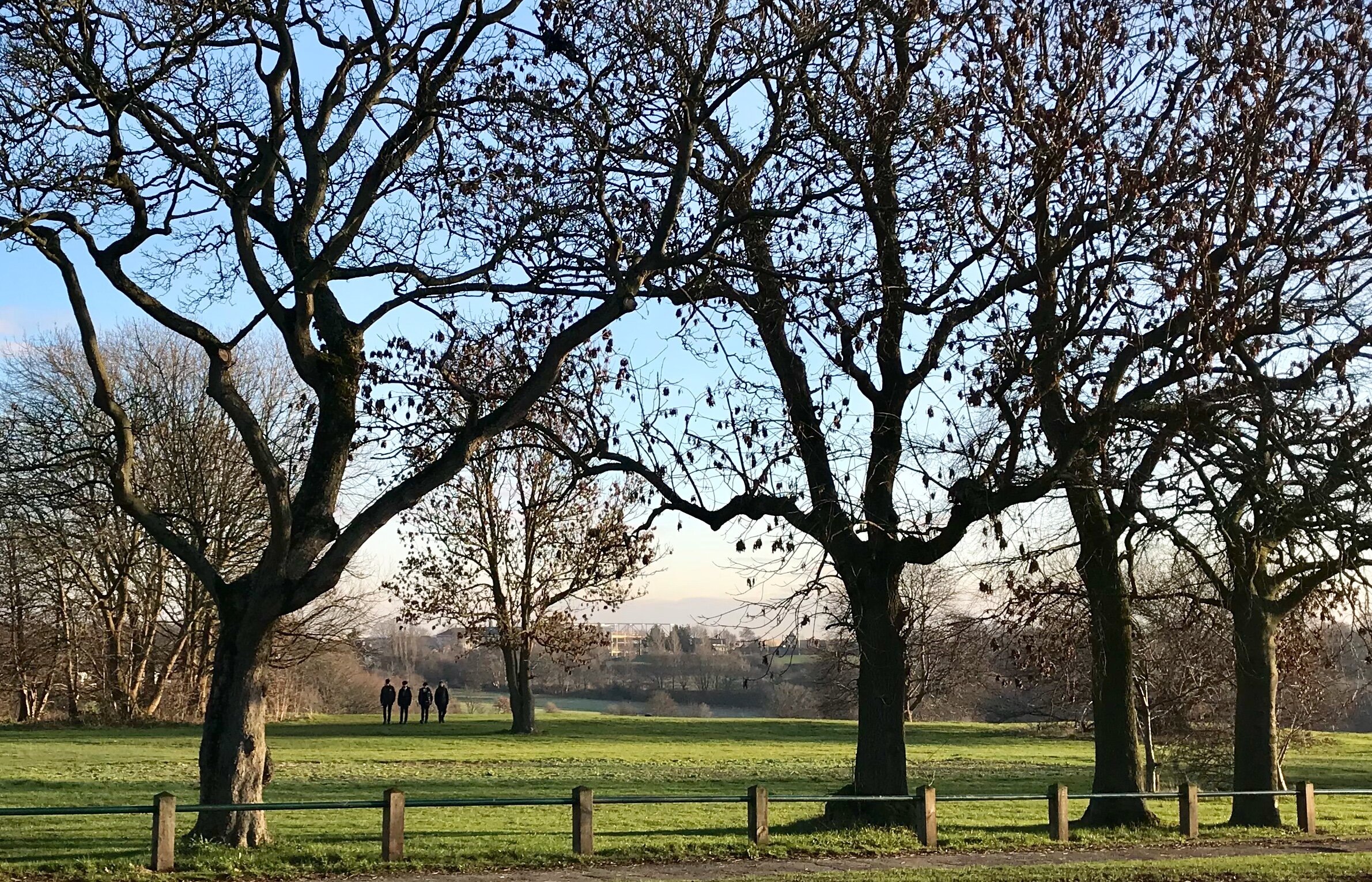 West Park Fields, from Butcher Hill © HP