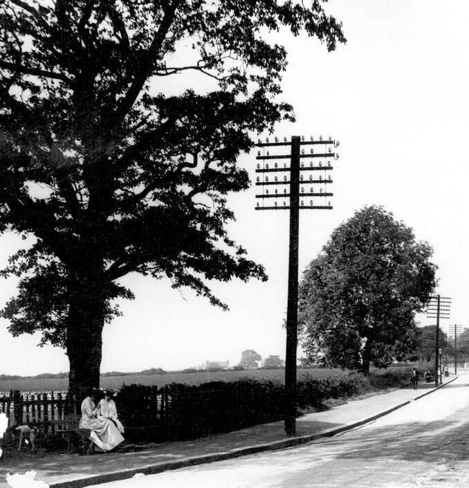  Fields at West Park, from Otley Road, circa 1900 