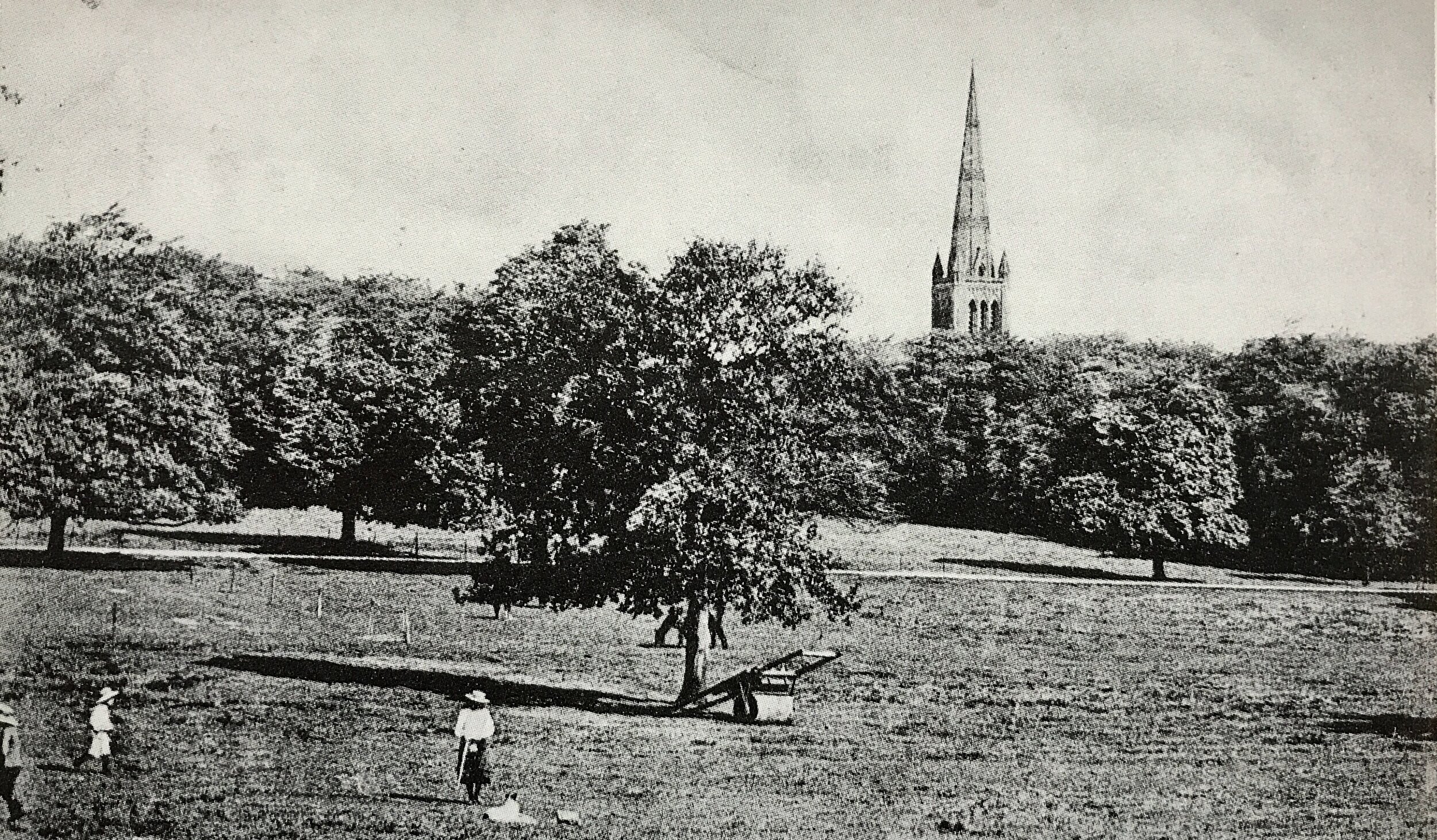 Beckett Park, view towards St Chad’s Church and Church Wood, c1912