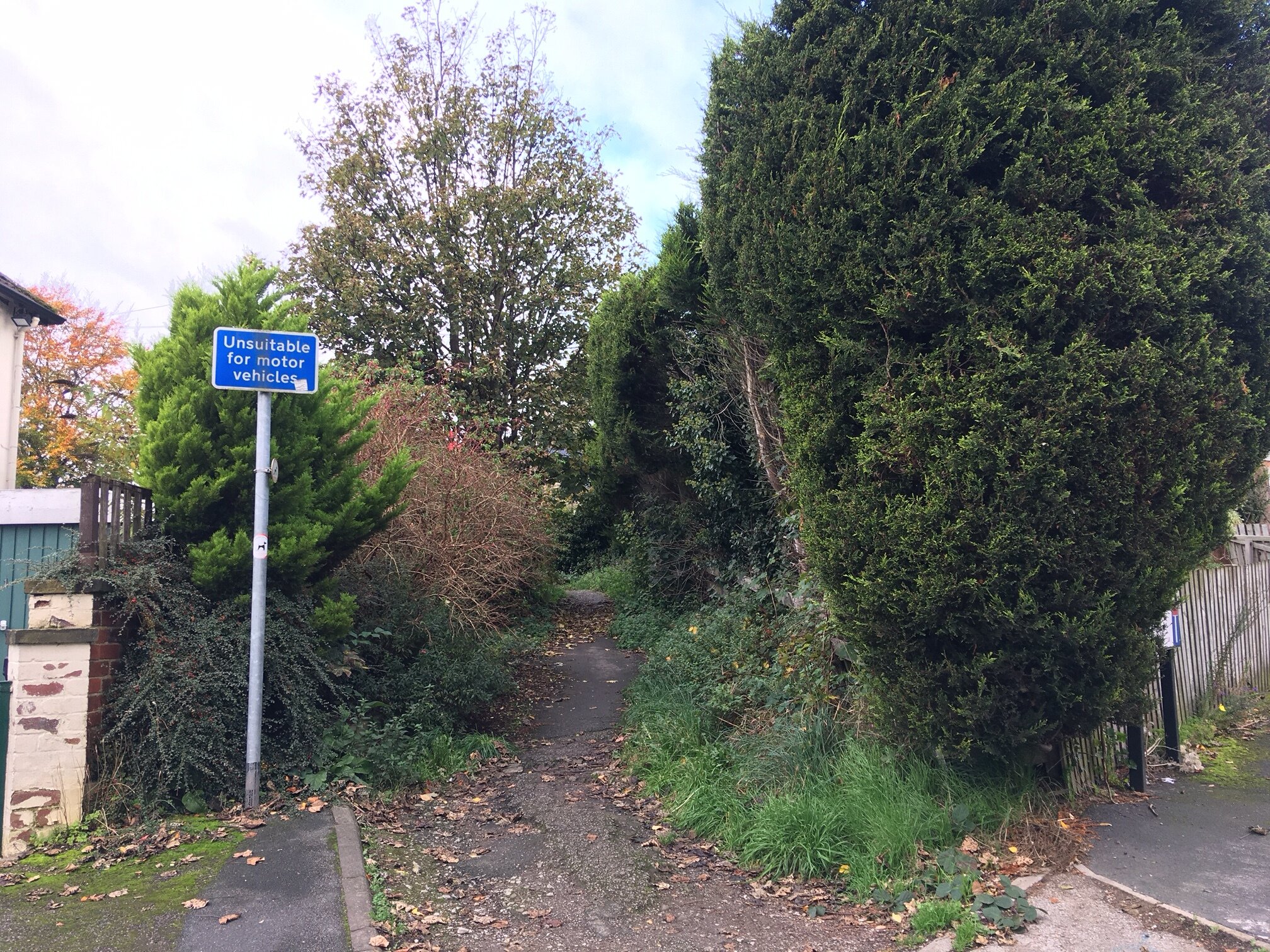 16c School Lane, south part, entrance from  Highbury Mount © RT