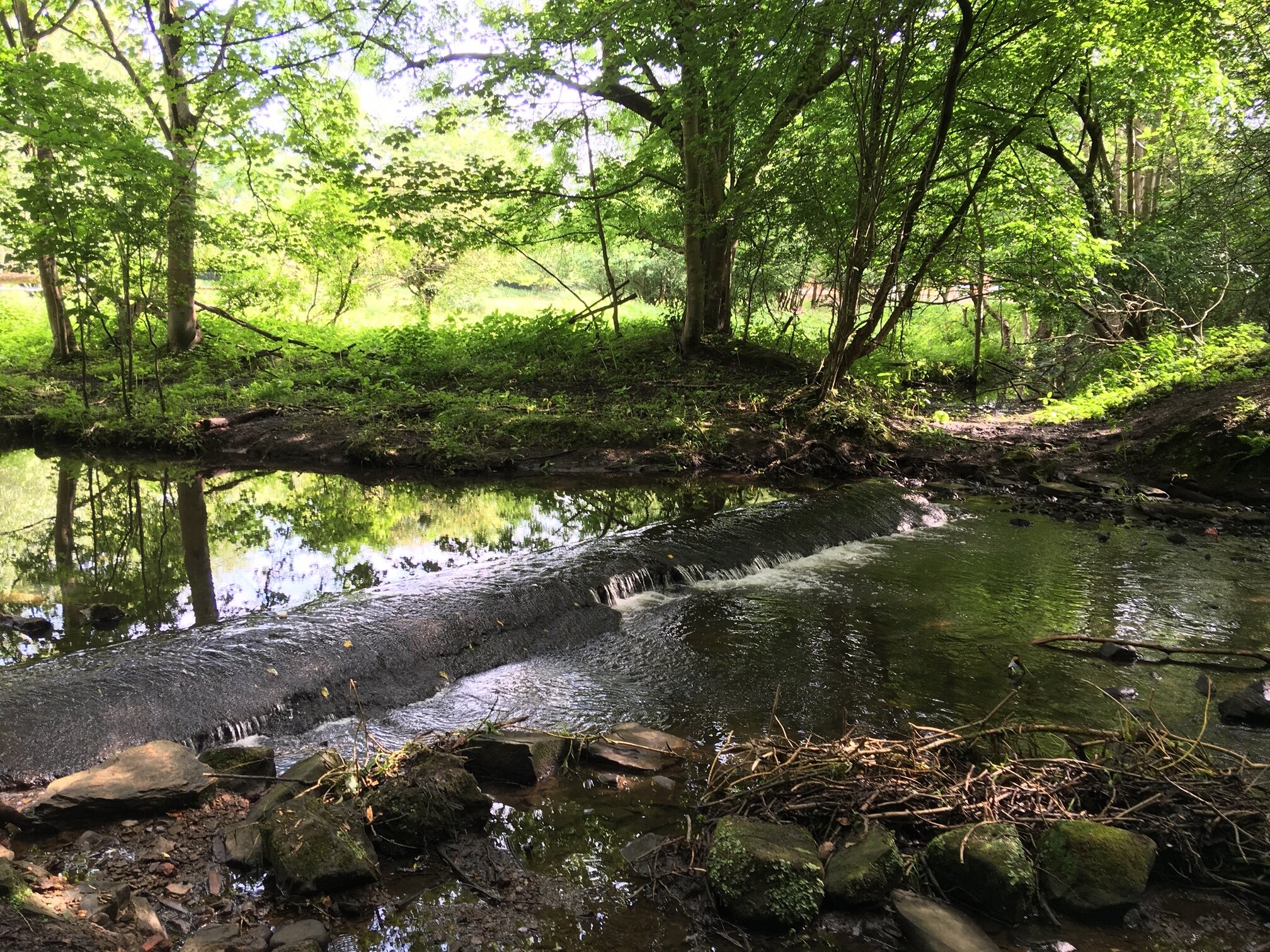 M is for Meanwood Beck