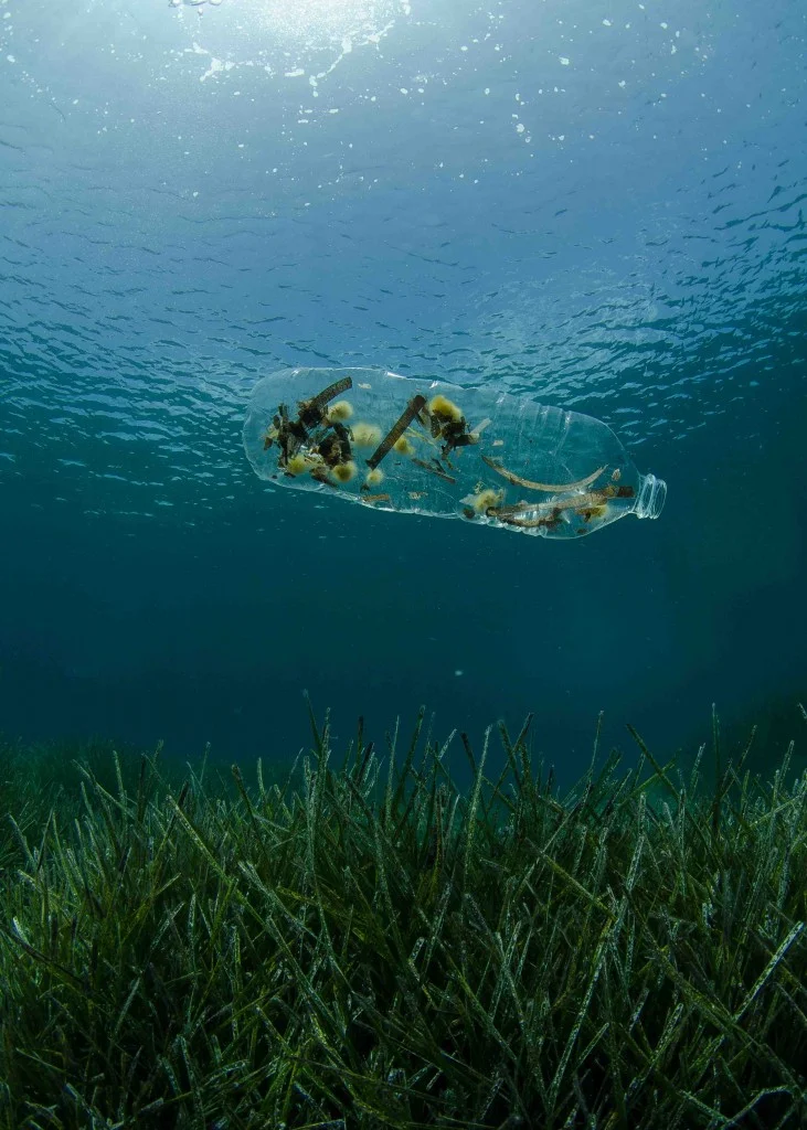 Starboard Trash Pickers