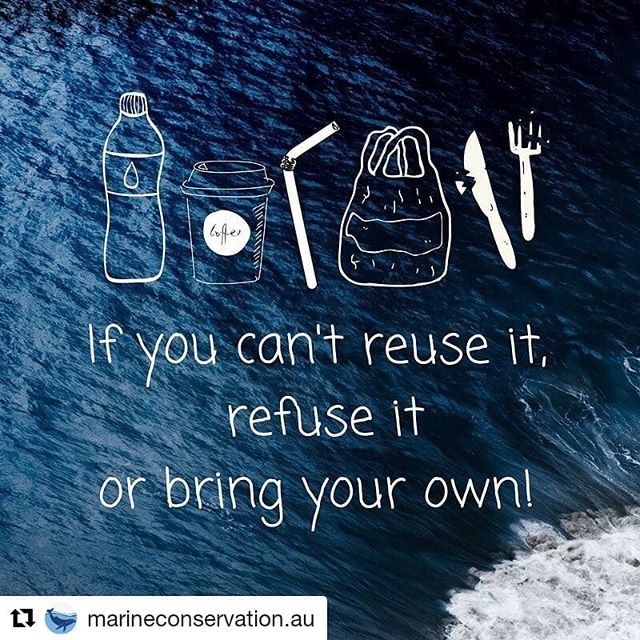 #Repost @marineconservation.au (@get_repost)
・・・
June 8 is #WorldOceansDay - just a reminder that everyone can do something small throughout their day to #beatplasticpollution and save our oceans 💙

#ditchtheplastic #plasticfree #BeTheChange #deepbl