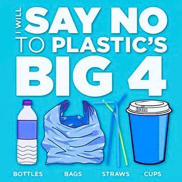 #plasticfreejuly just around the corner

#ditchtheplastic #plasticfree #BeTheChange #deepbluelife #BeyondPlastic #FFSLDN #protectwhatyoulove #awaveofchange #stopsucking #jointheresistance #plasticfreecoastline #switchthestick #plastic #conservation #