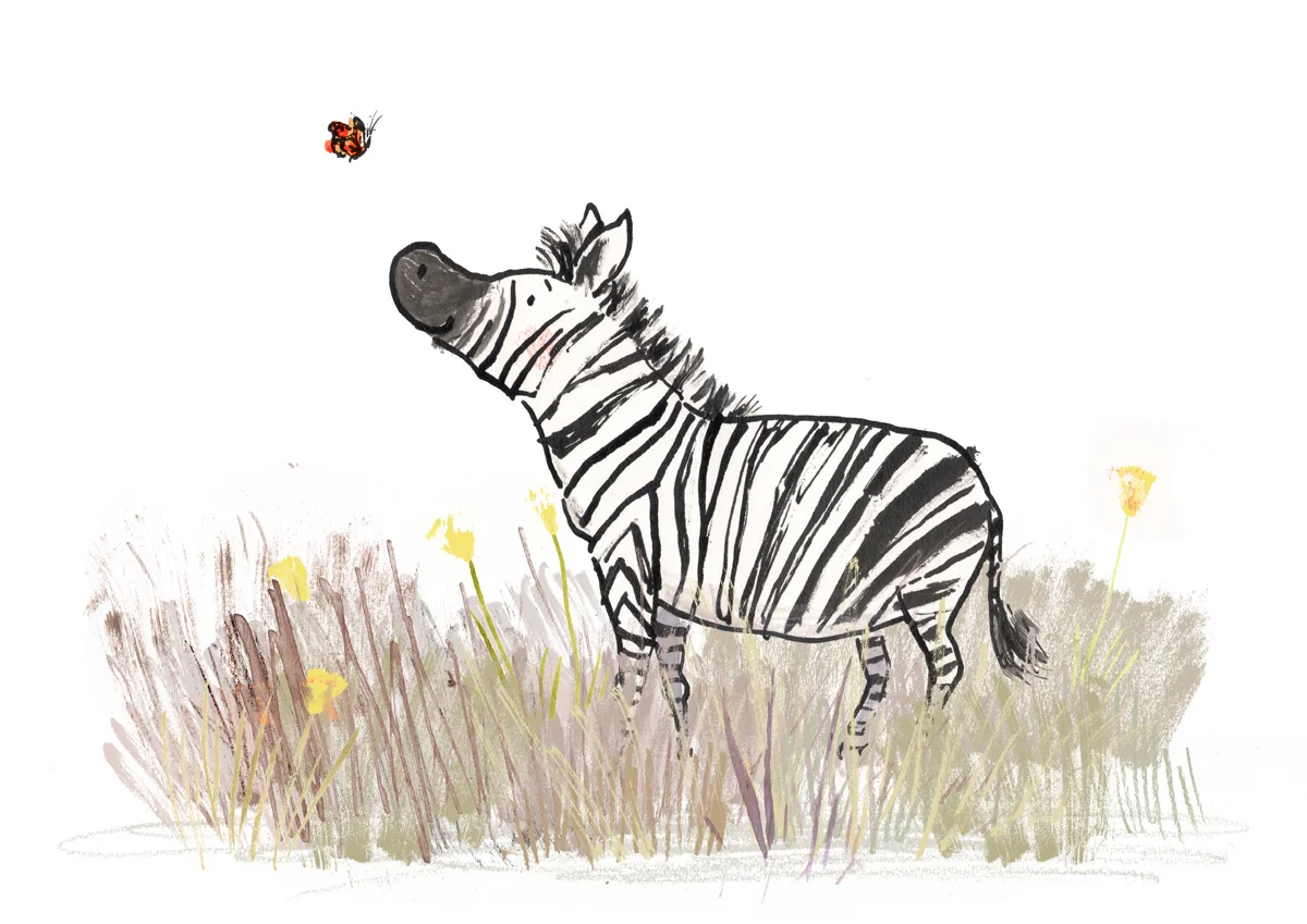 Zebra in the grass copy.JPG