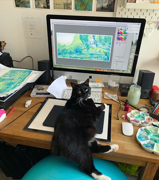A desk shot from last summer- I was 37 weeks pregnant, It was swelteringly hot, I had to sit on a yoga ball because I had hip pain. I finished the final edits for the book a few days before my baby was born (he arrived a couple of weeks early!) 😅 I 