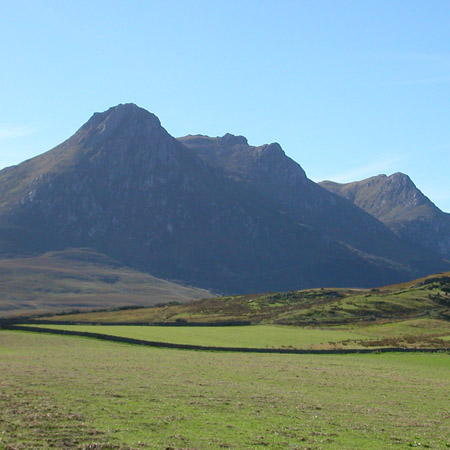 Ben Loyal