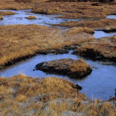 Peat Country