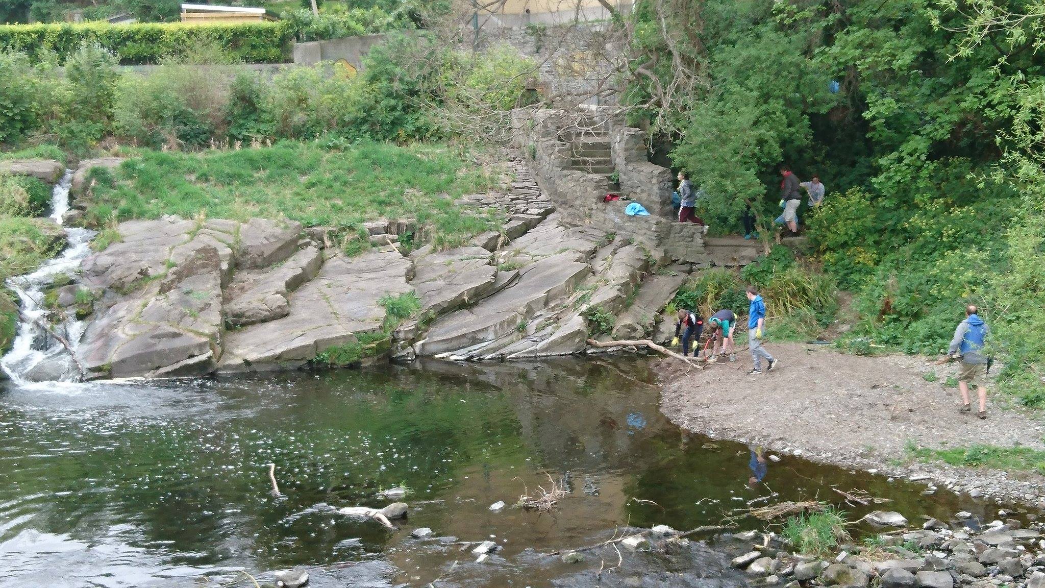 Donny brook scouts.jpg