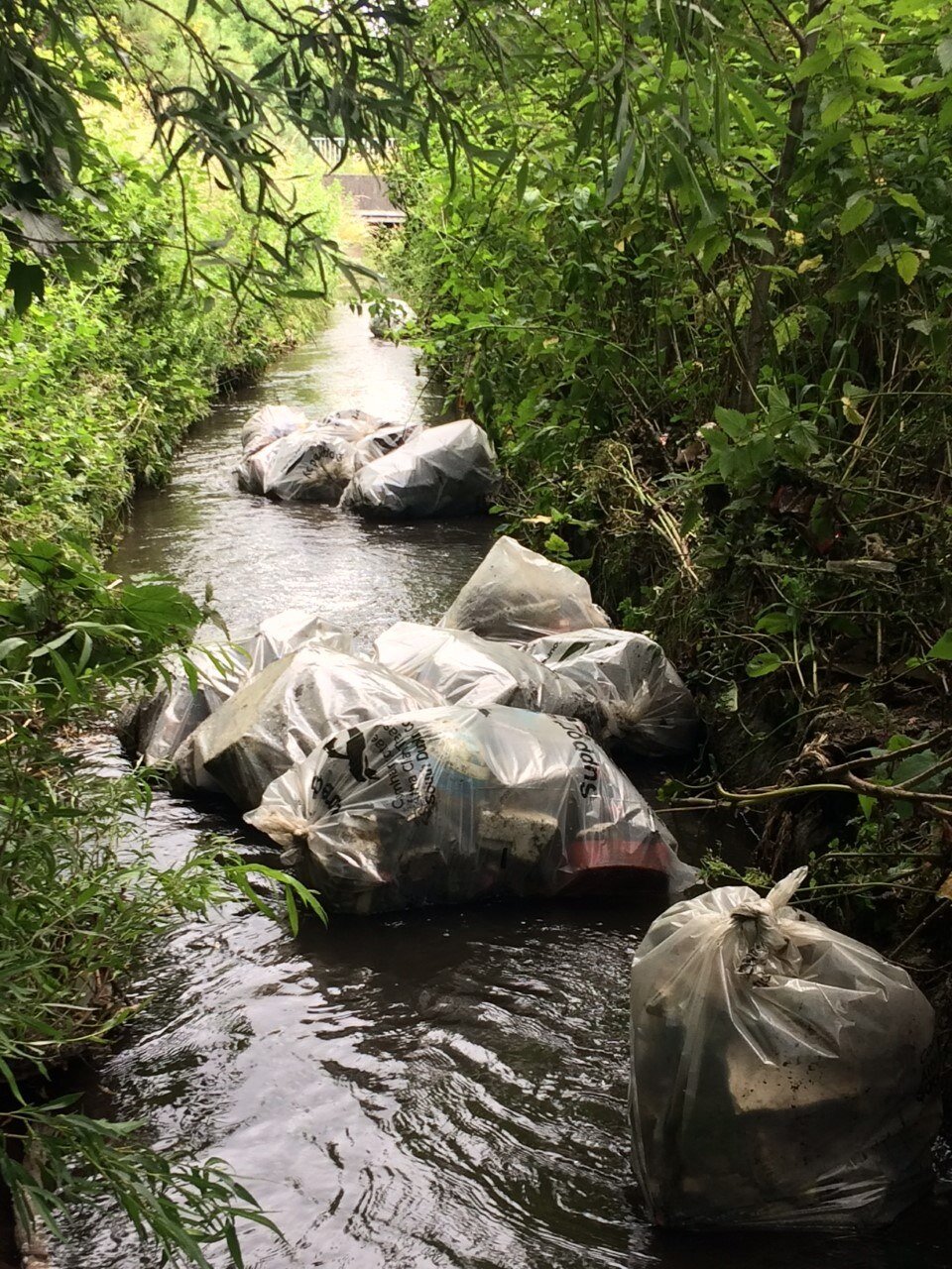 floating the bags downstream.jpg