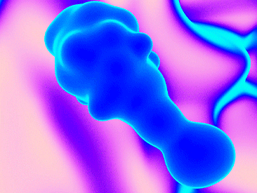 TARA_pattern.gif