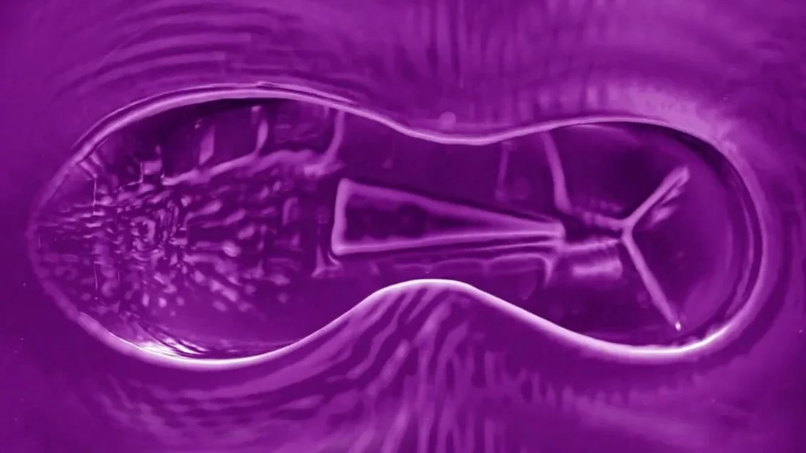 WTG_FOOTPRINT square.jpg