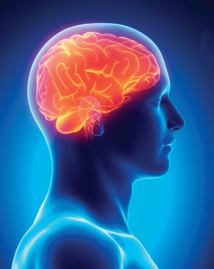 mtbi.jpg