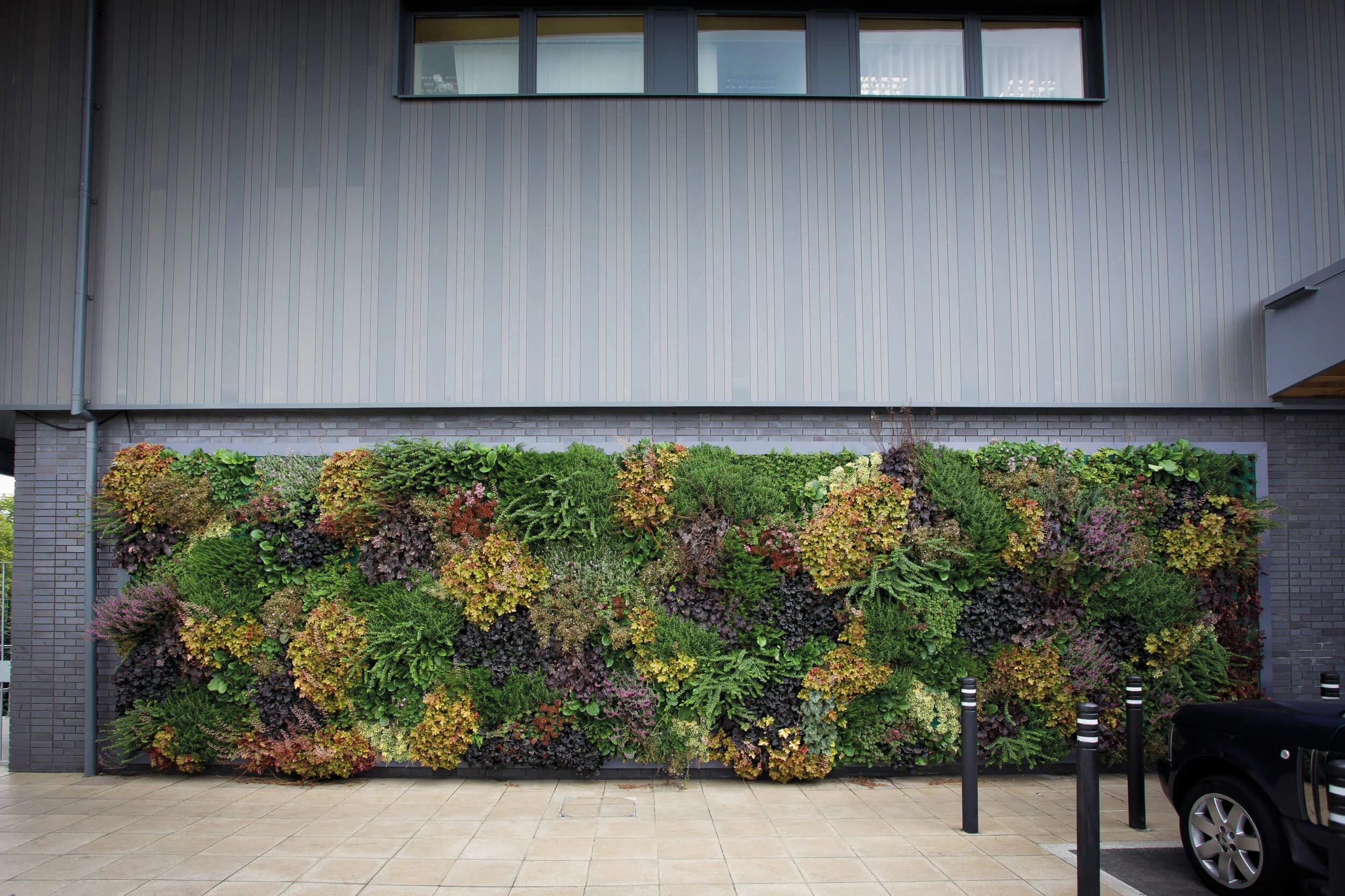 Living Plant Wall Revit – Wall Design Ideas