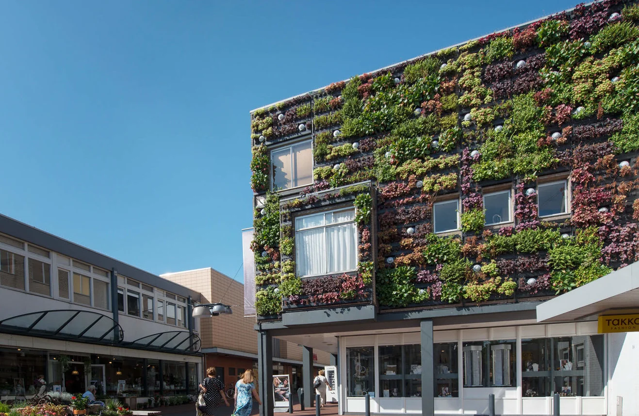 Exterior living wall on building by Suite Plants.