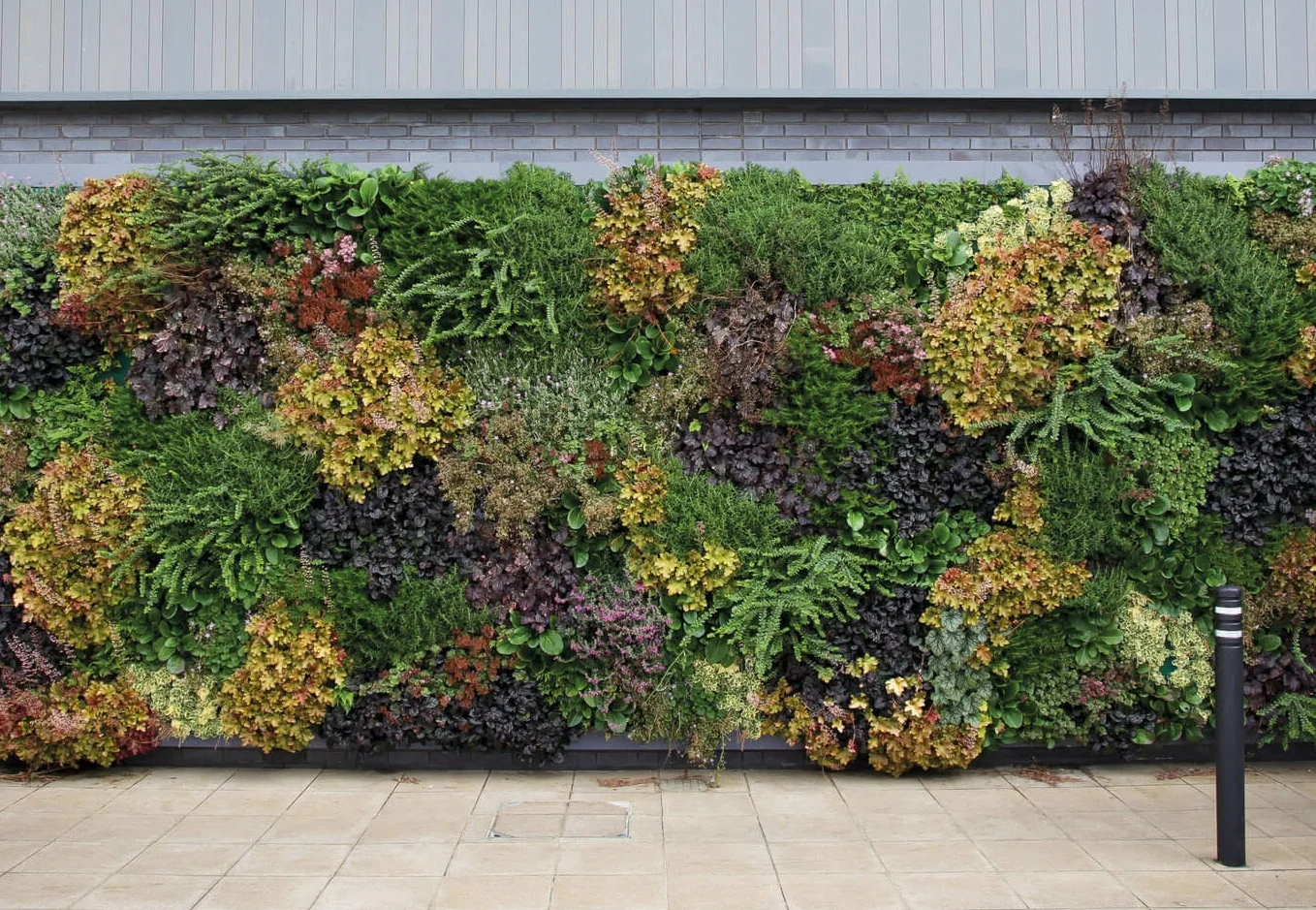 LivePanel LivePanel is a custom plant wall system for all indoor and outdoor spaces.